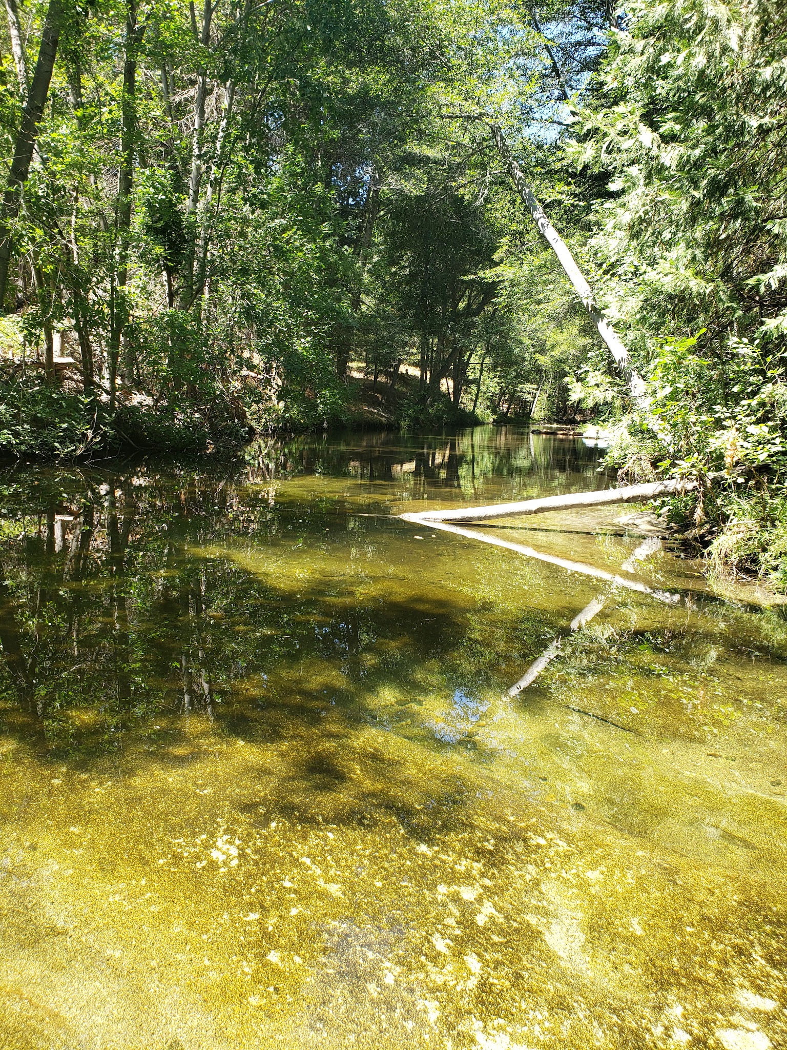 Bretz Mill Campground