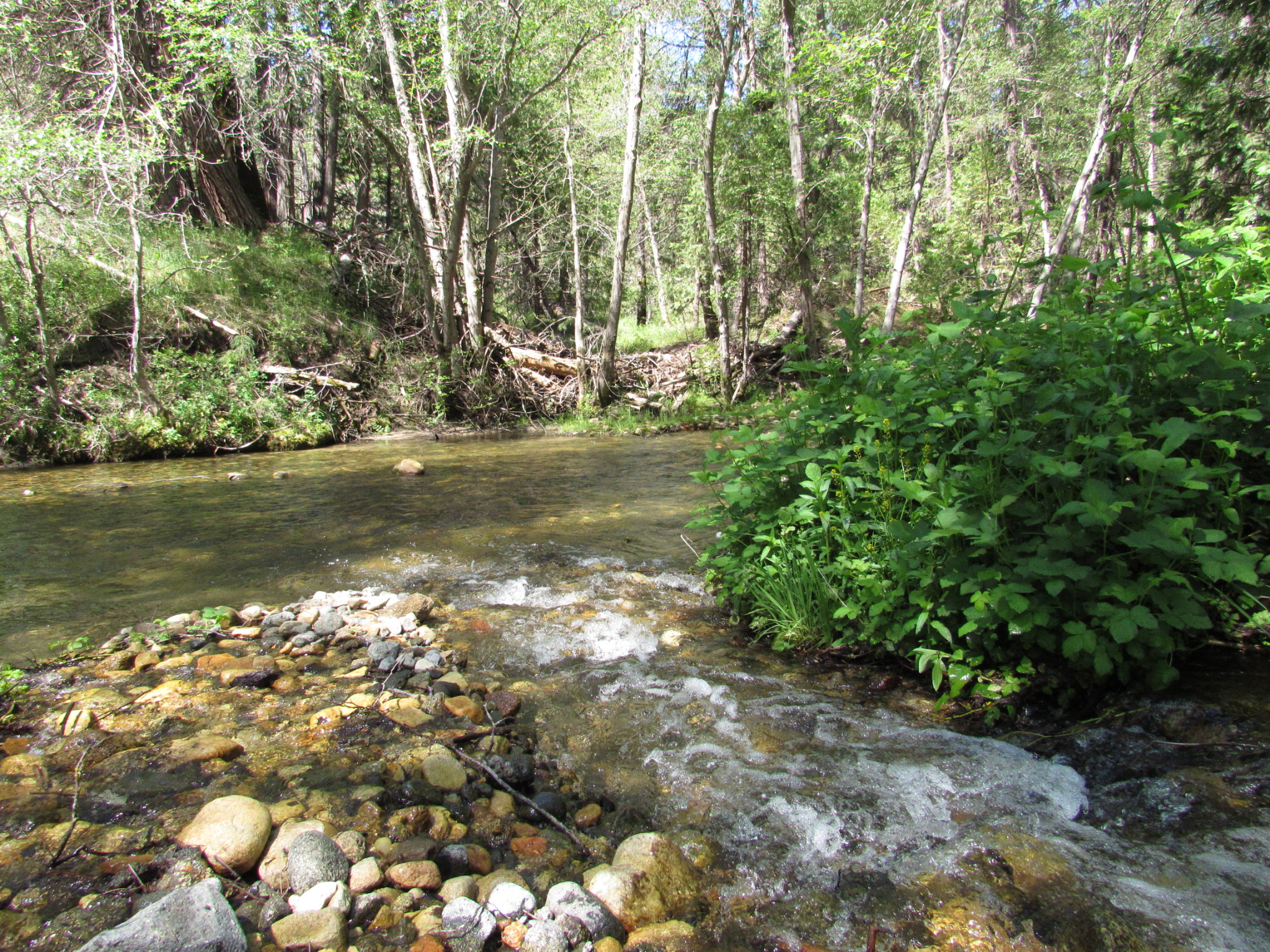 Bretz Mill Campground