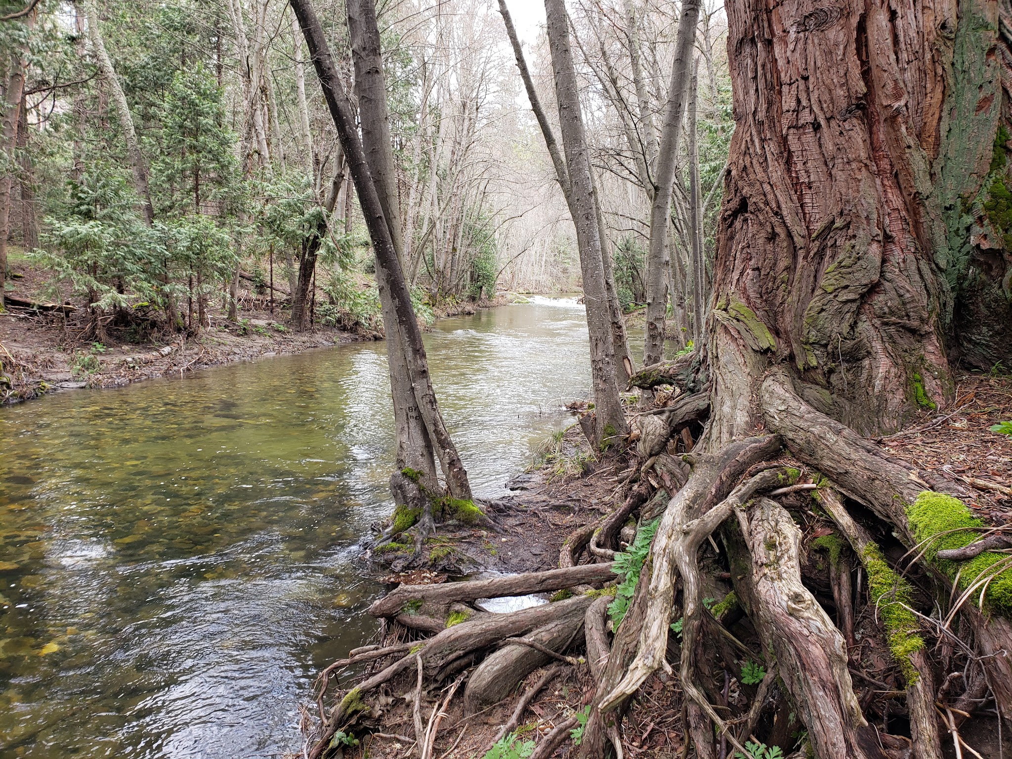 Bretz Mill Campground