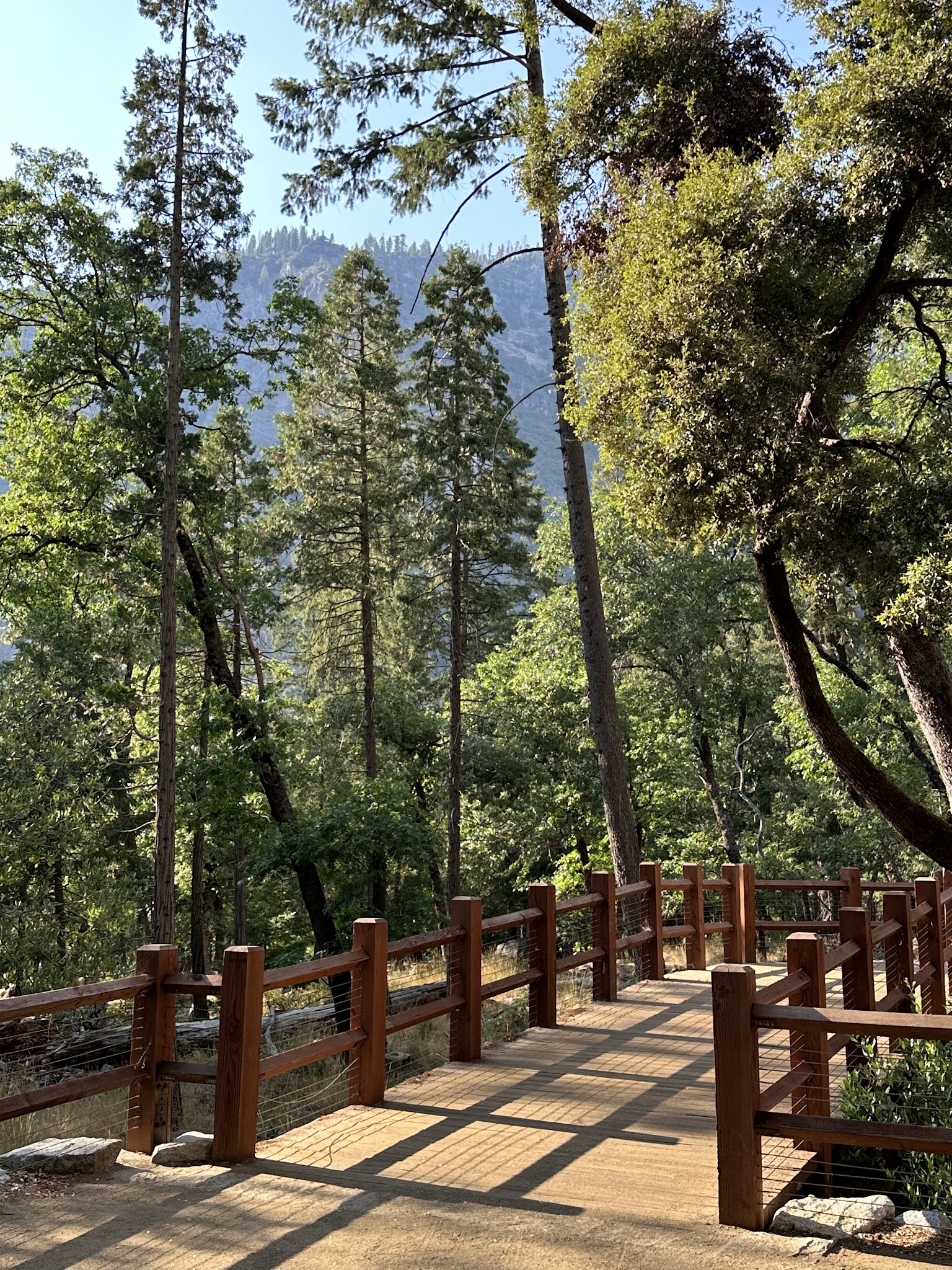 Bridalveil Creek Campground