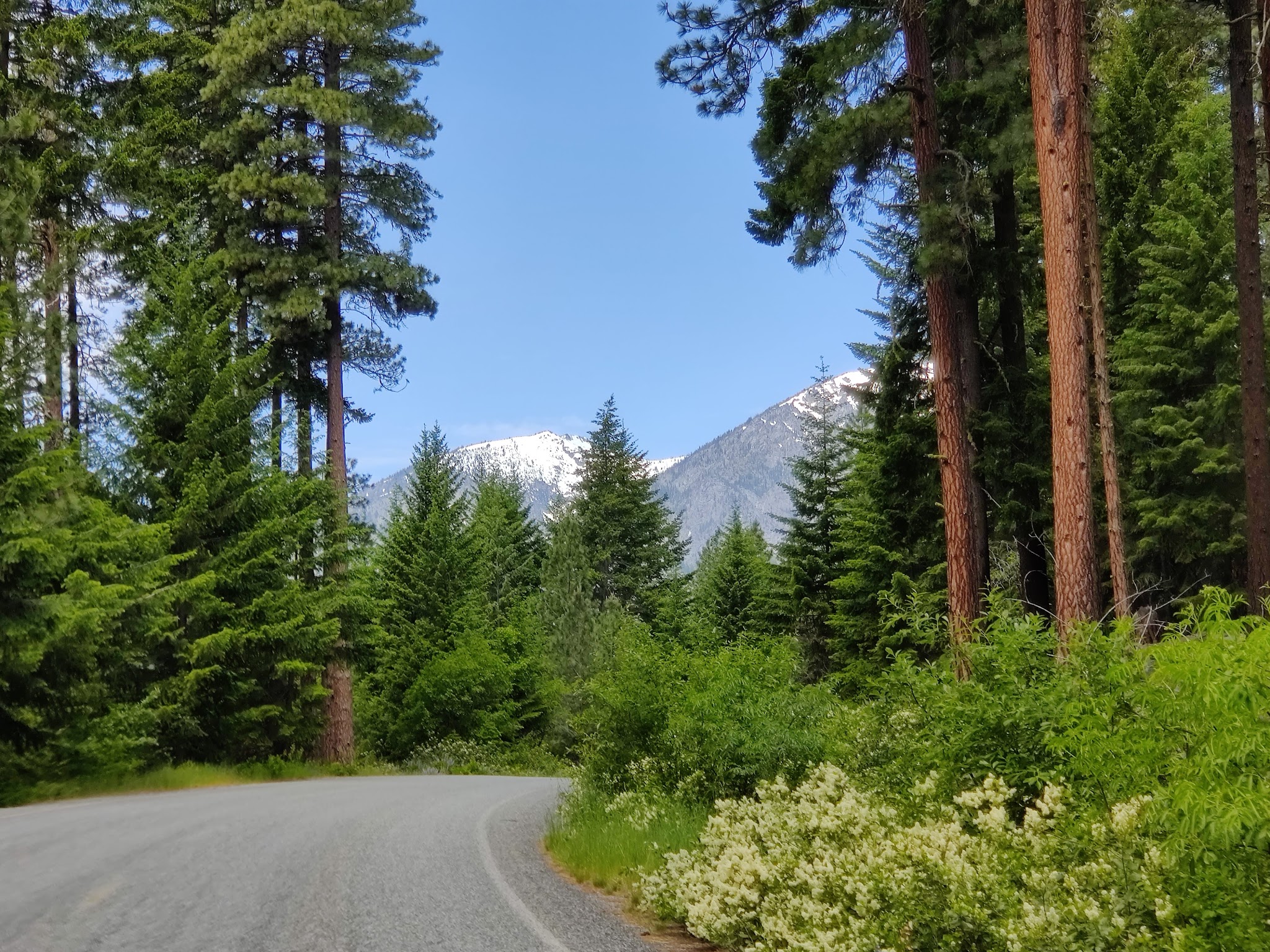 Bridge Creek Group Site