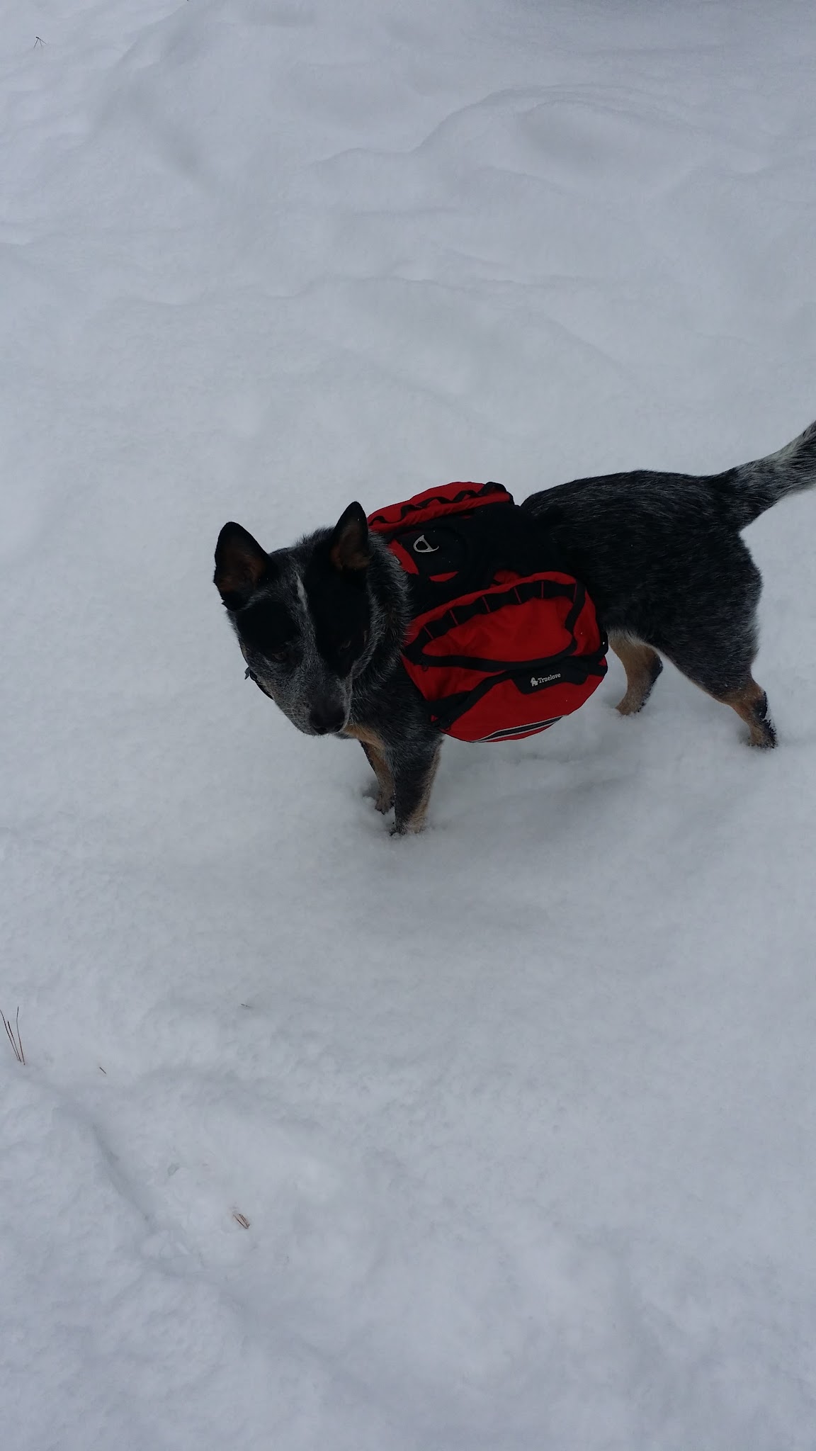 Bridge Creek Group Site