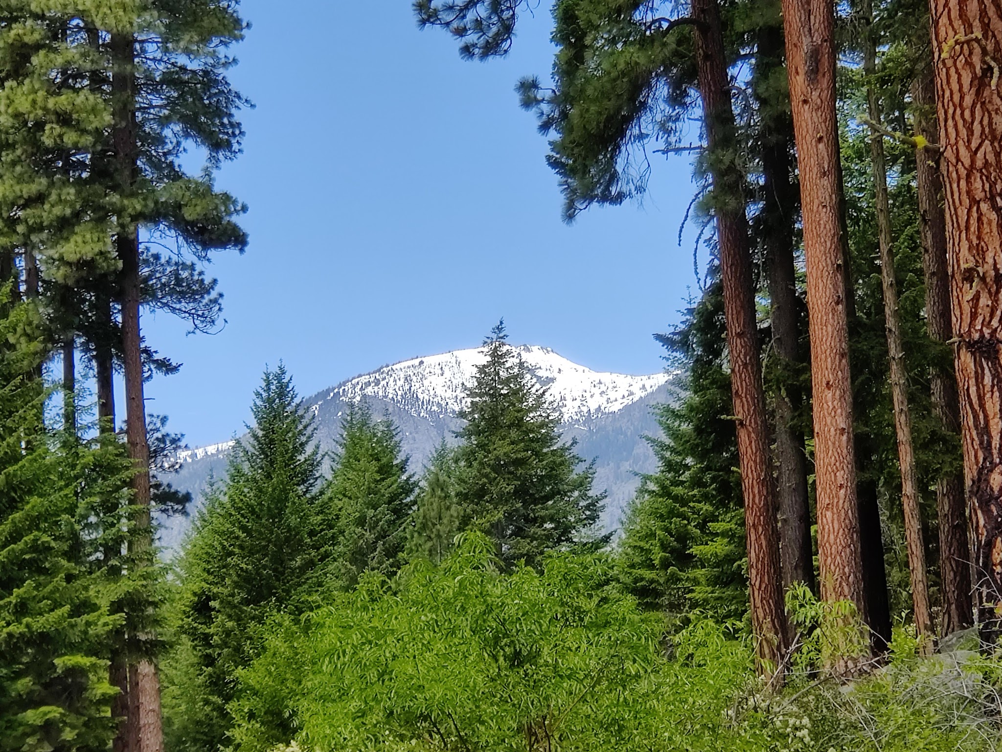 Bridge Creek Group Site