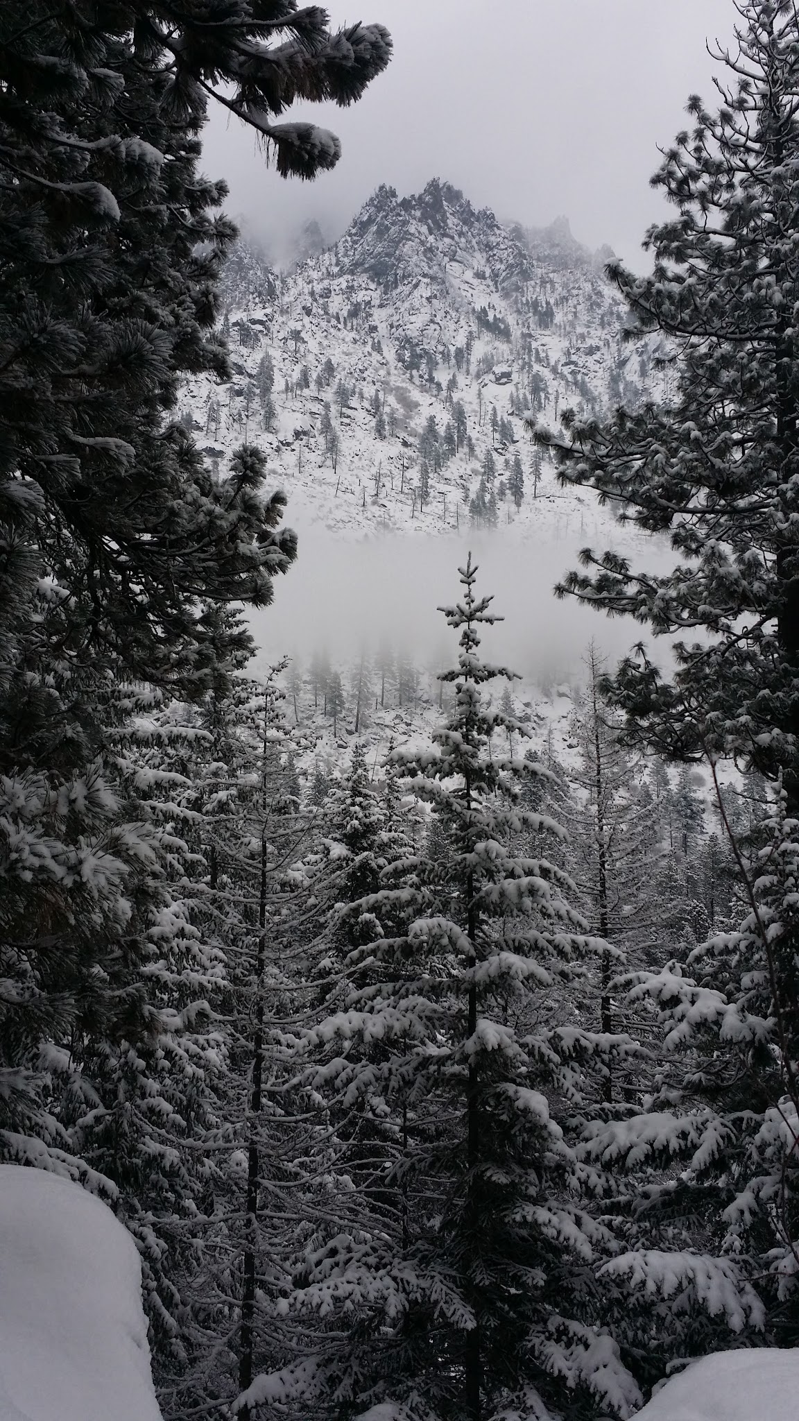 Bridge Creek Group Site