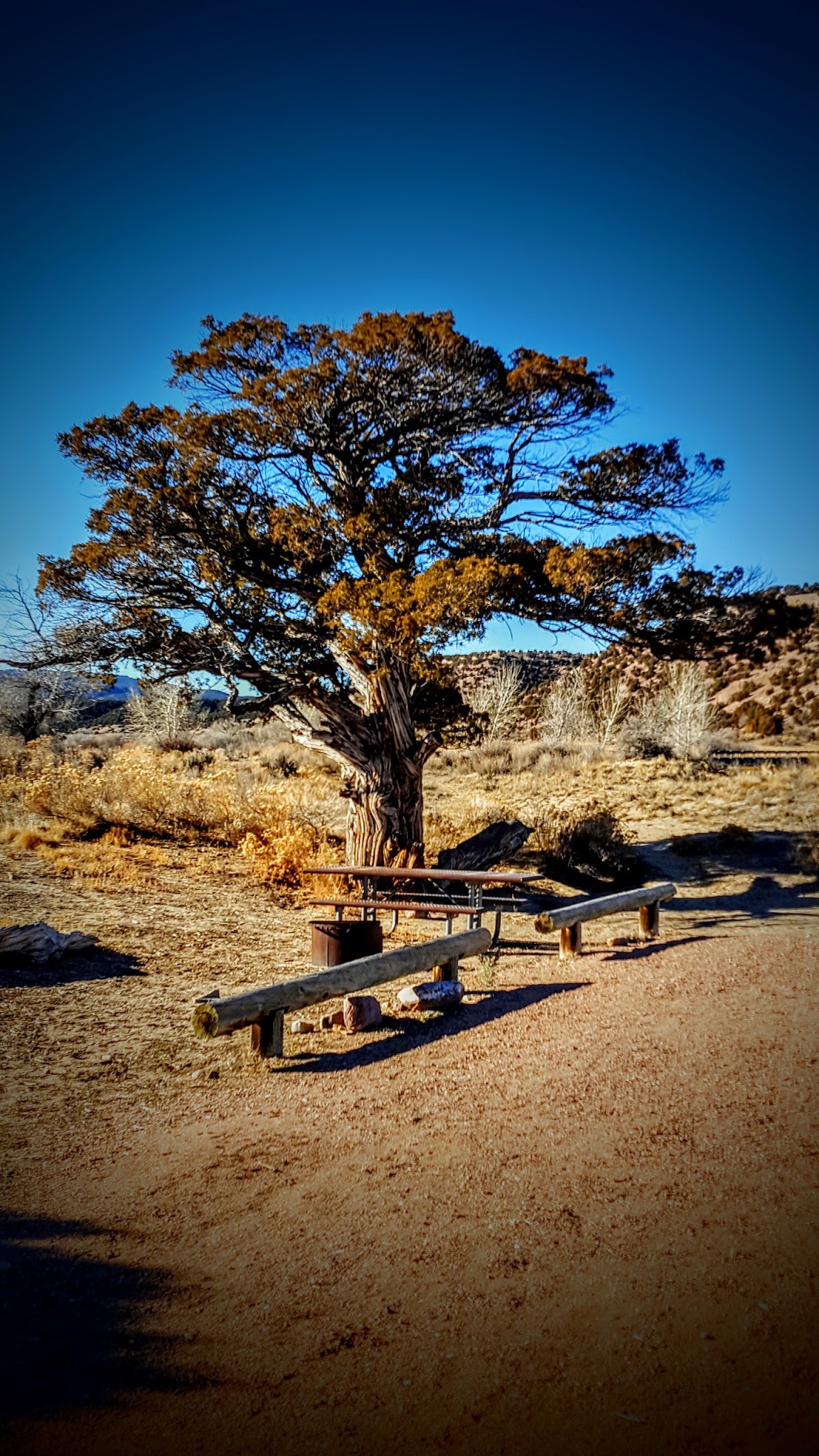 Bridge Hollow Campground