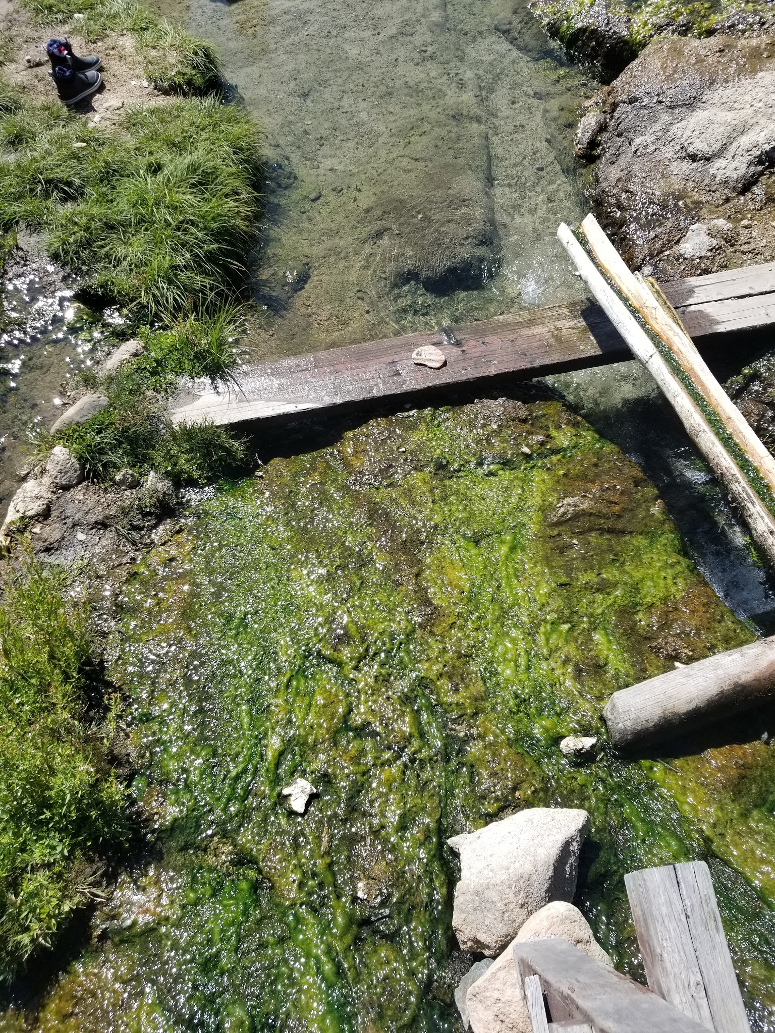 Horse Creek Hot Spring & Campground