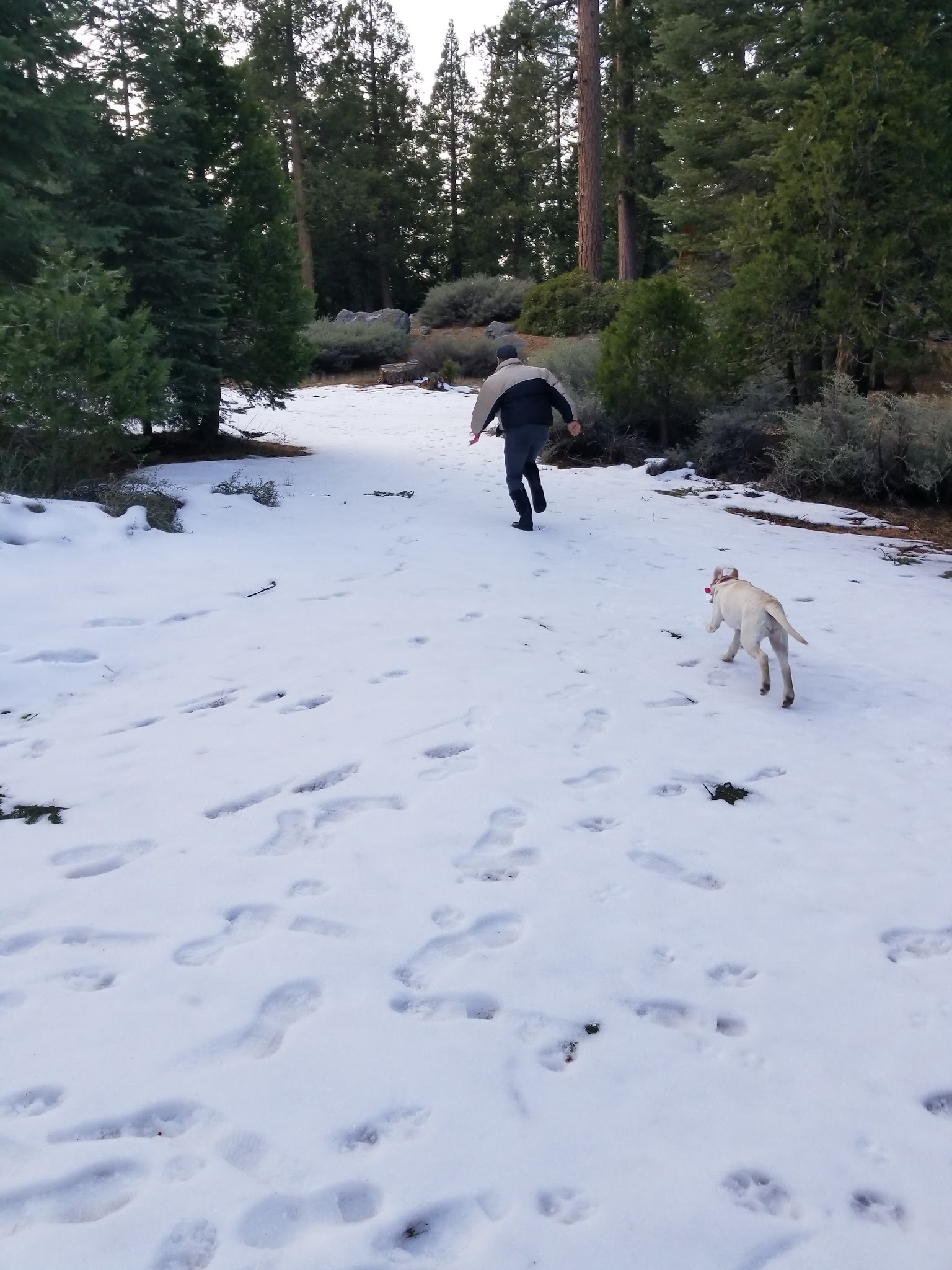 Brightman Flat Campground