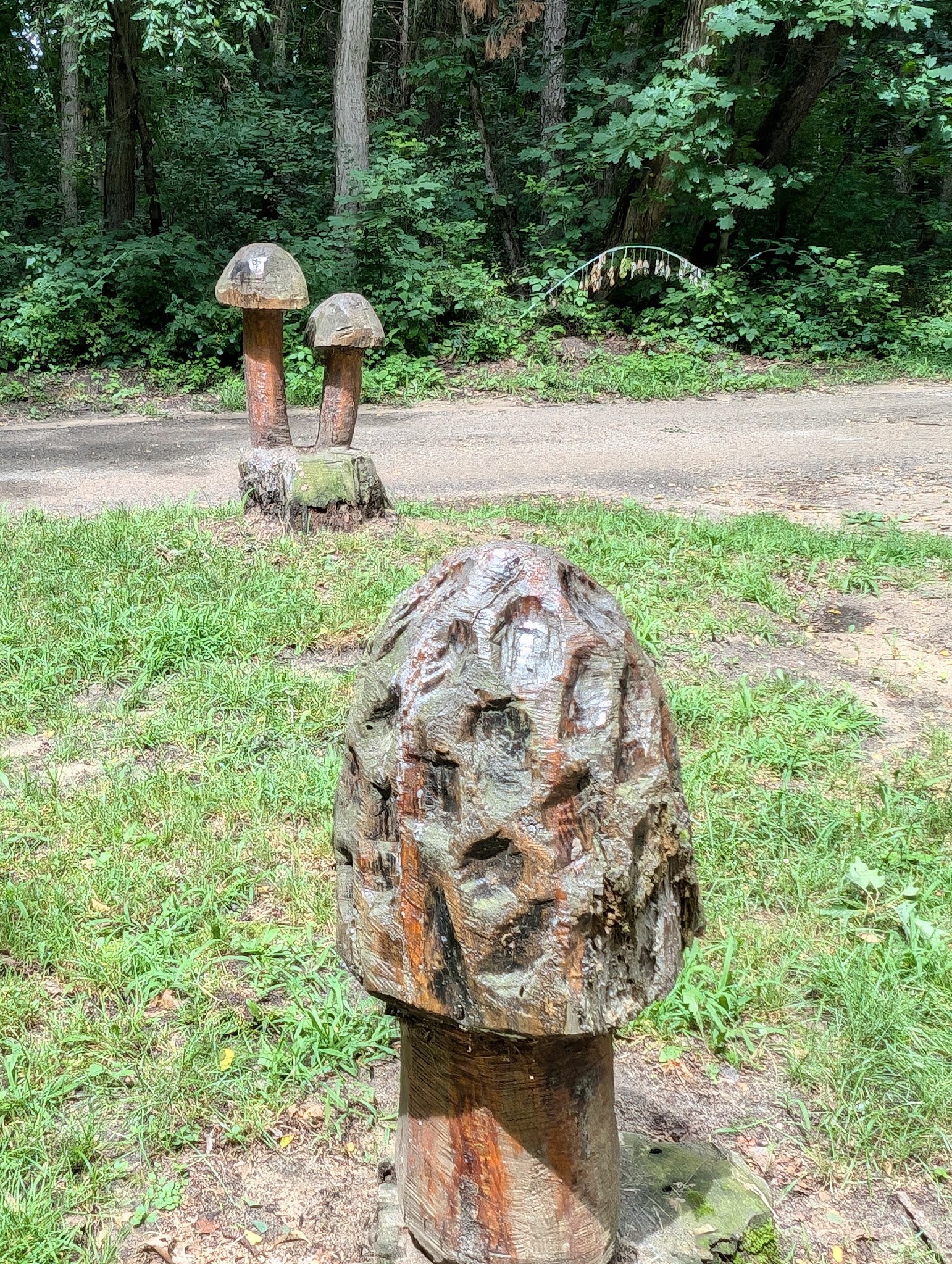 Brighton Appleton Lake Rustic Campground