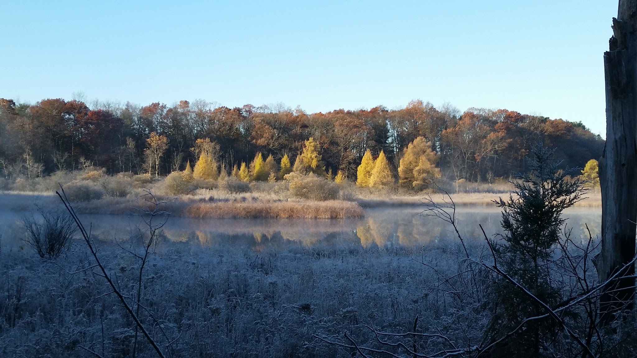 Brighton Appleton Lake Rustic Campground