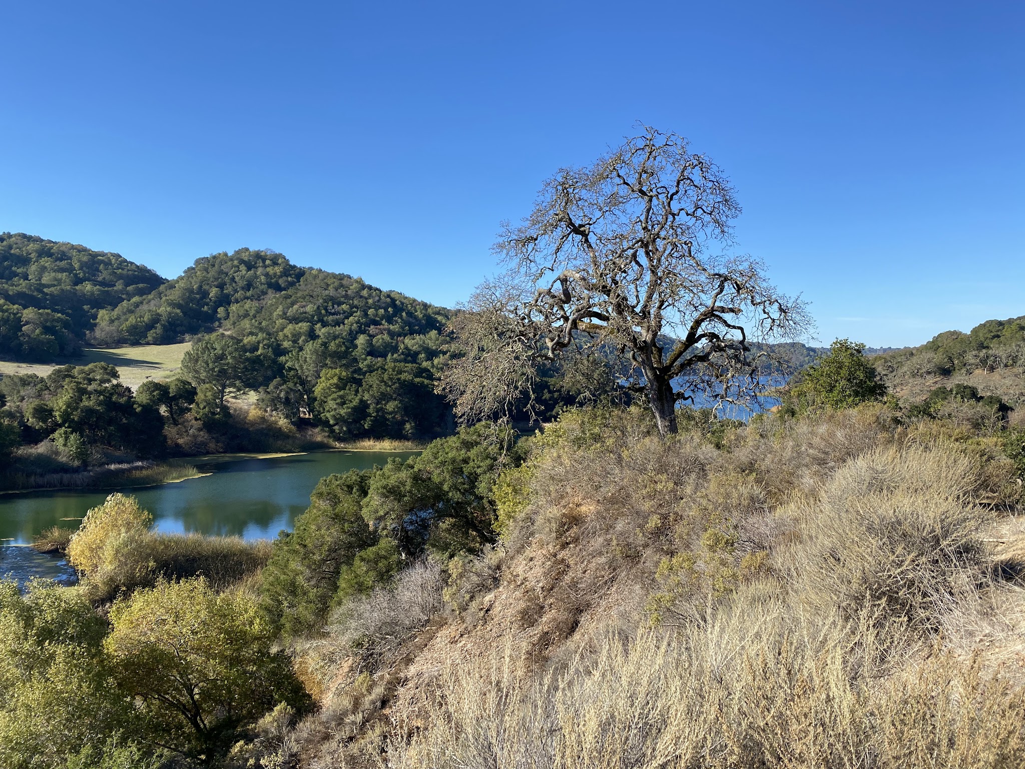 Briones Regional Park