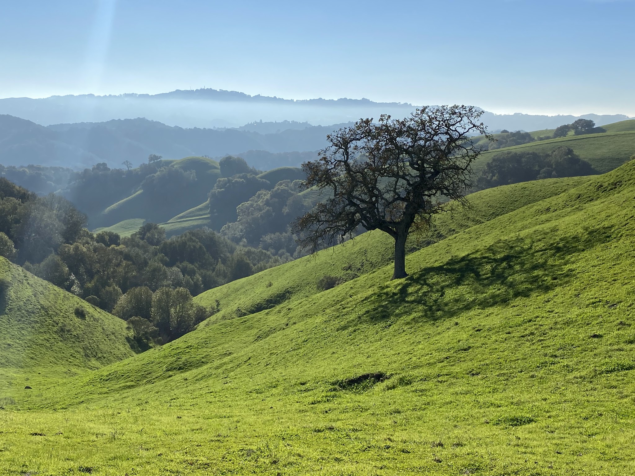 Briones Regional Park
