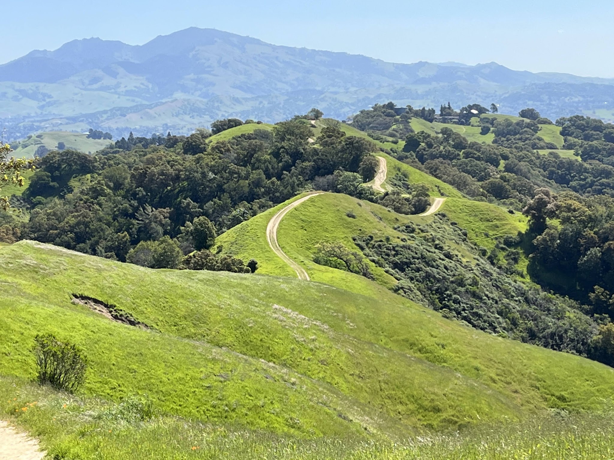 Briones Regional Park