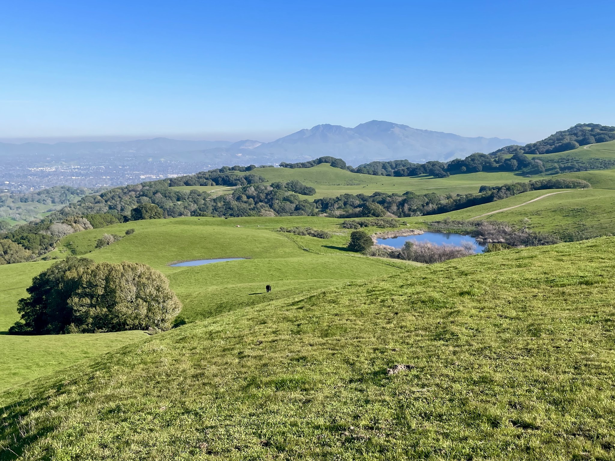 Briones Regional Park