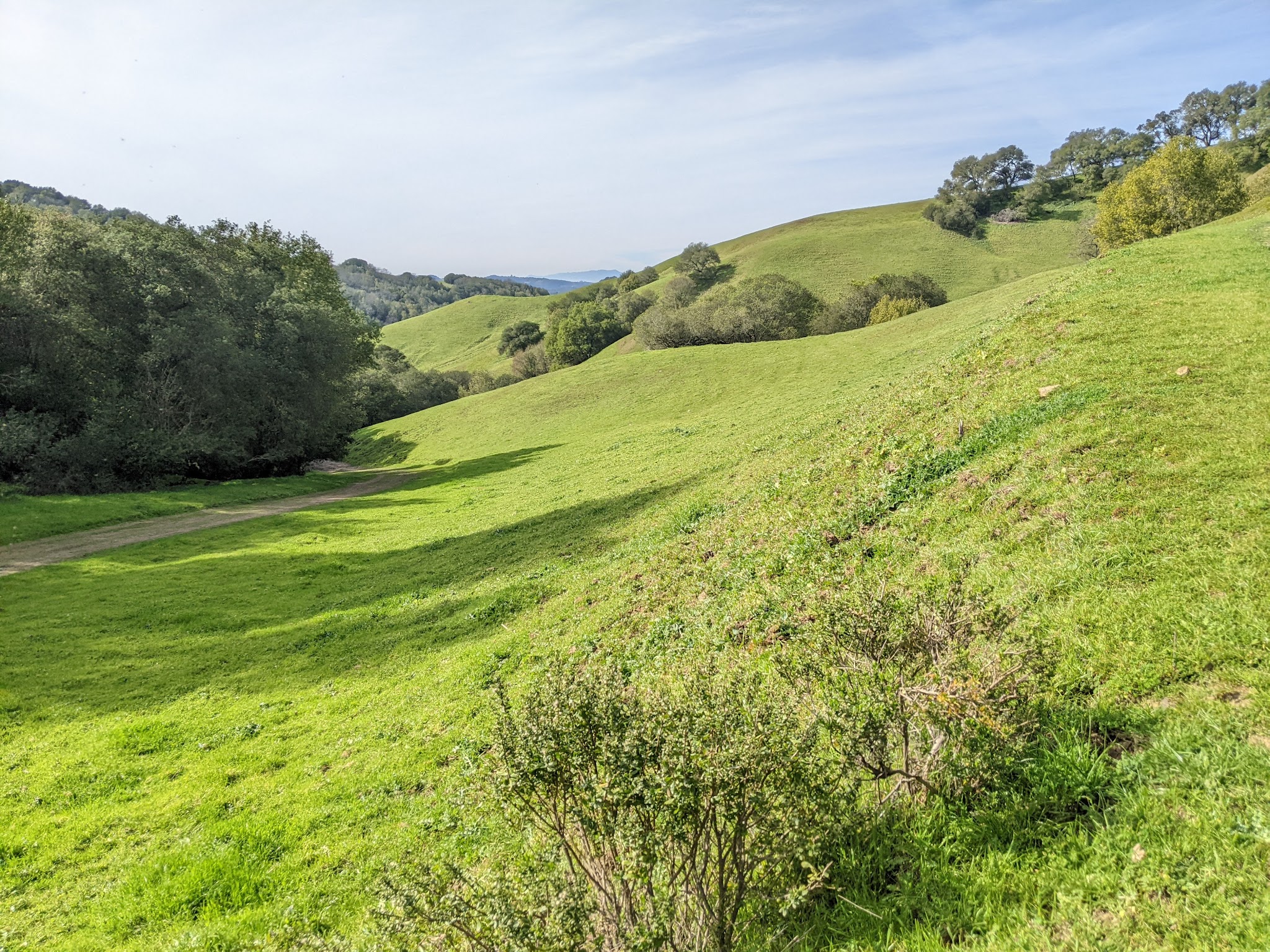 Briones Regional Park