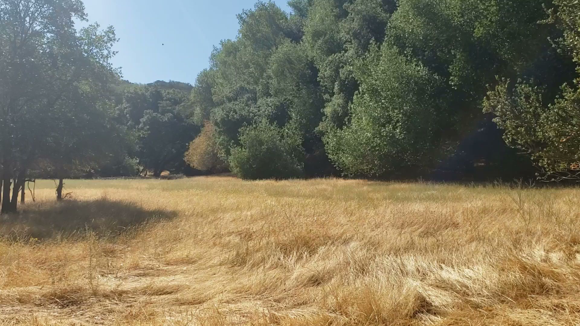 Briones Regional Park