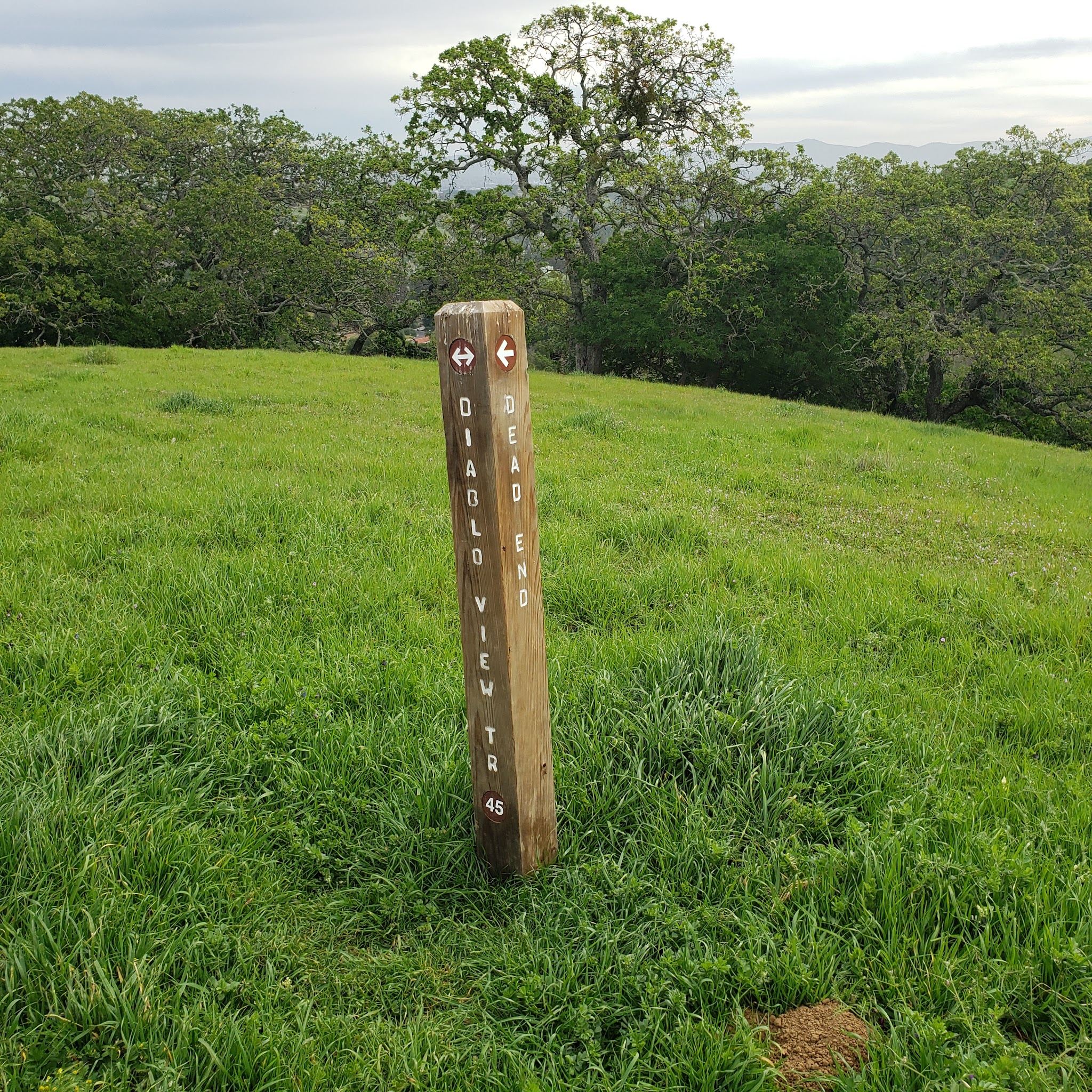 Briones Regional Park