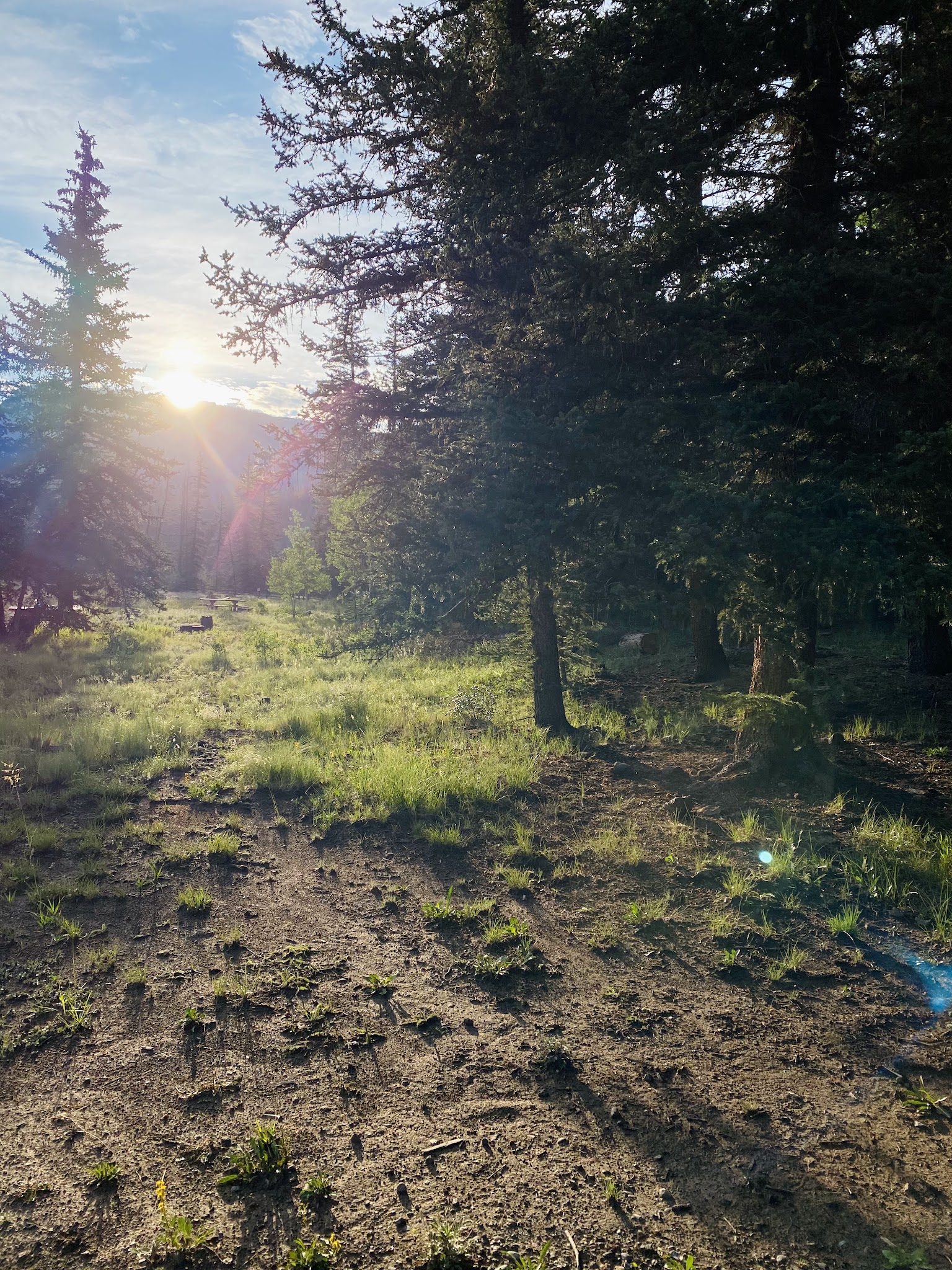 Bristol Head Campground