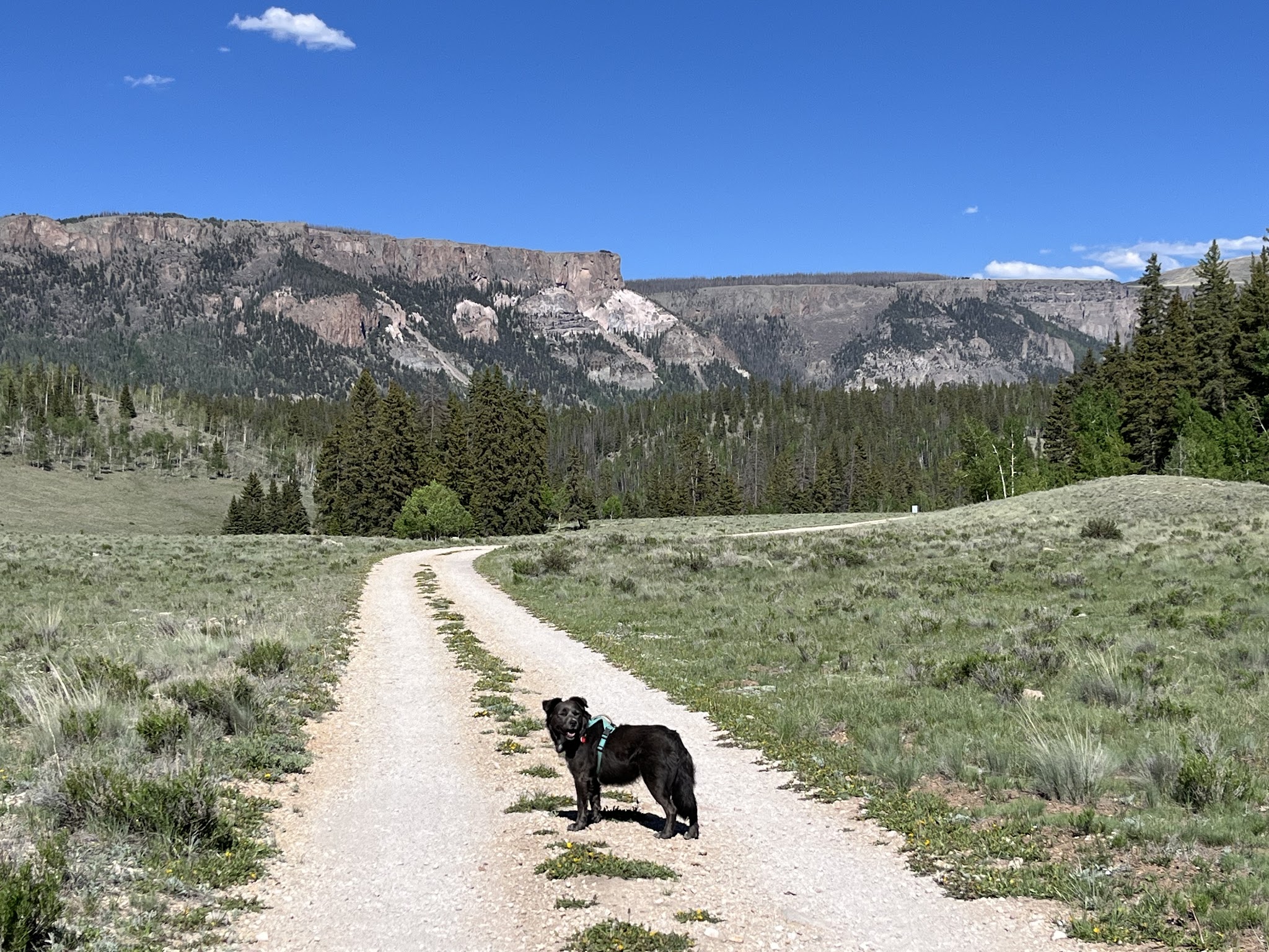 Bristol Head Campground