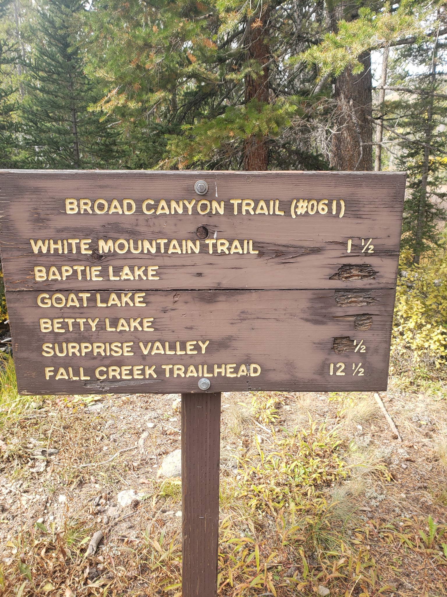 Broad Canyon Campground & Trailhead