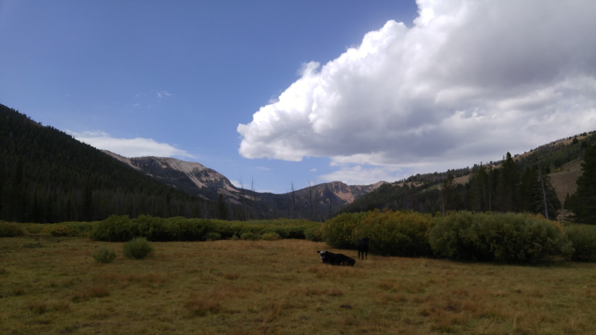 Broad Canyon Campground & Trailhead