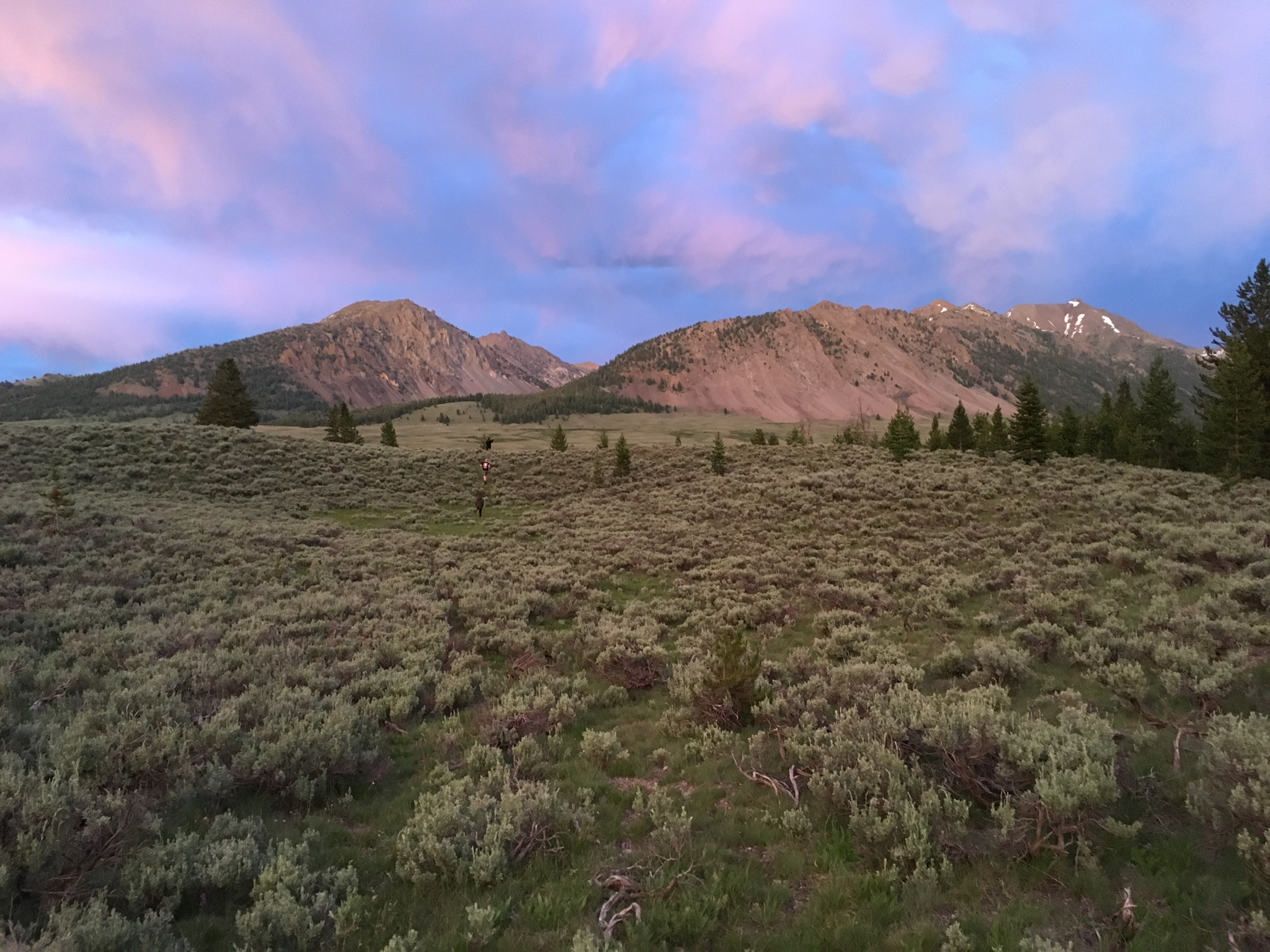 Broad Canyon Campground & Trailhead