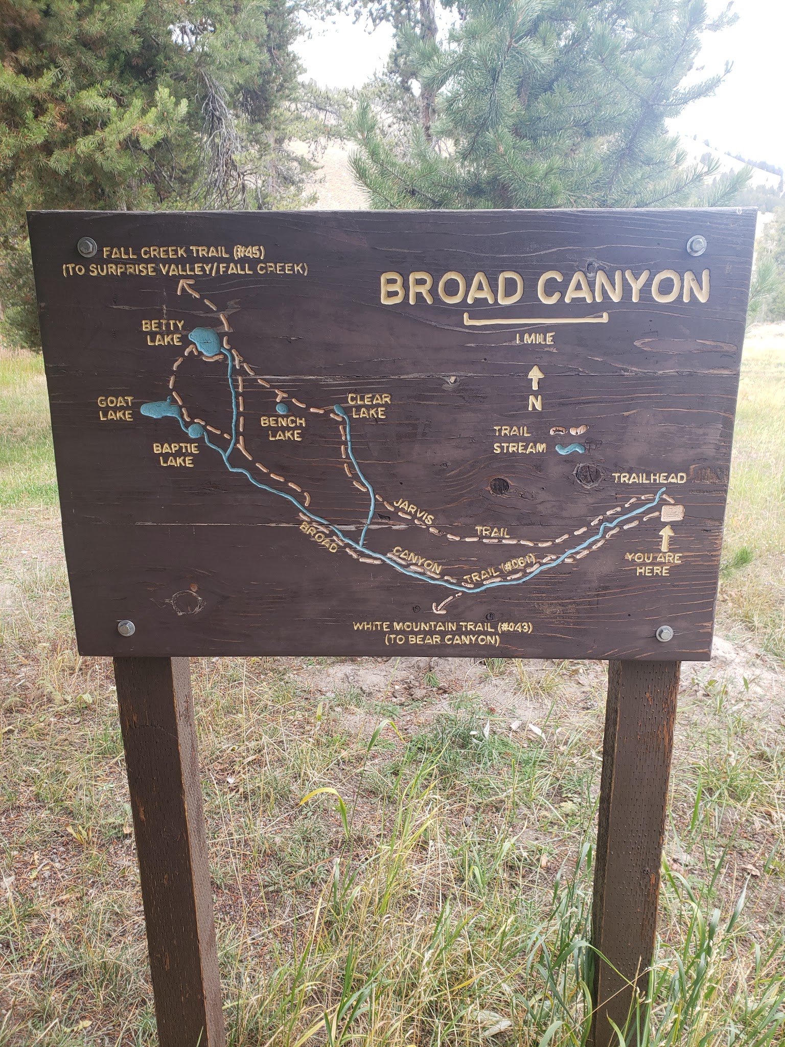 Broad Canyon Campground & Trailhead