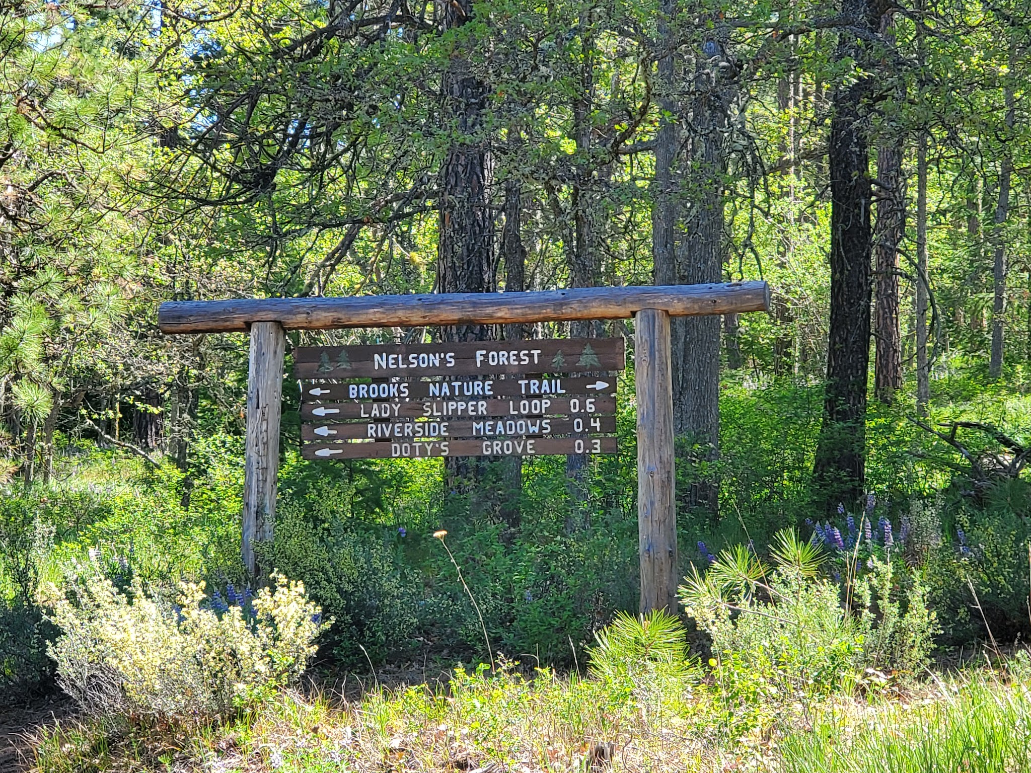 Brooks Memorial State Park