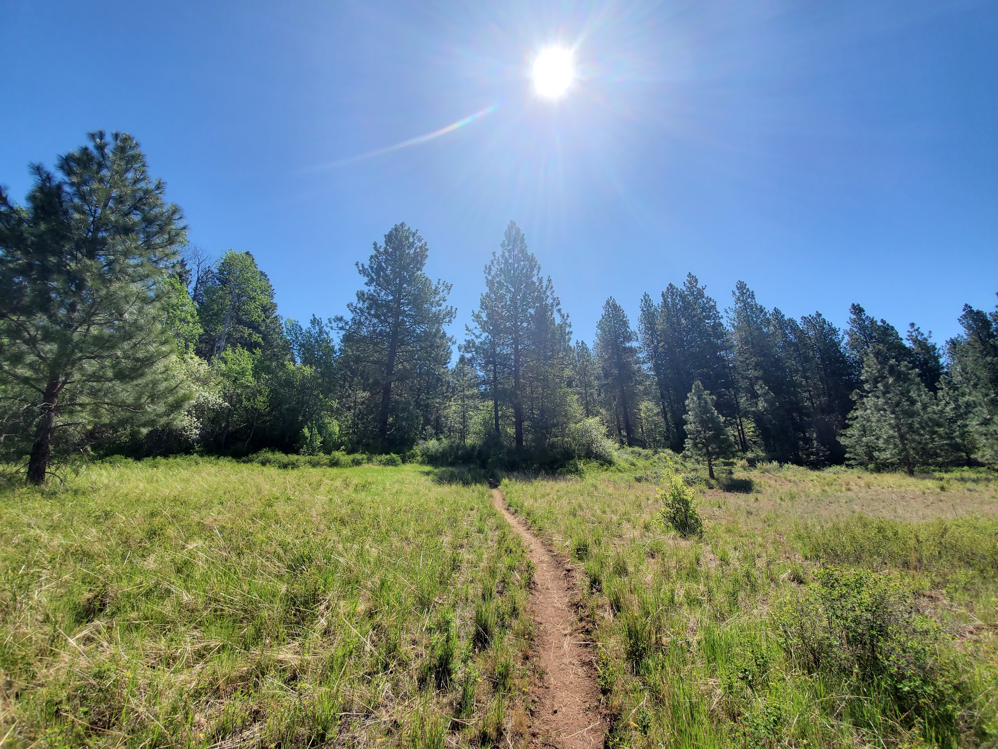 Brooks Memorial State Park