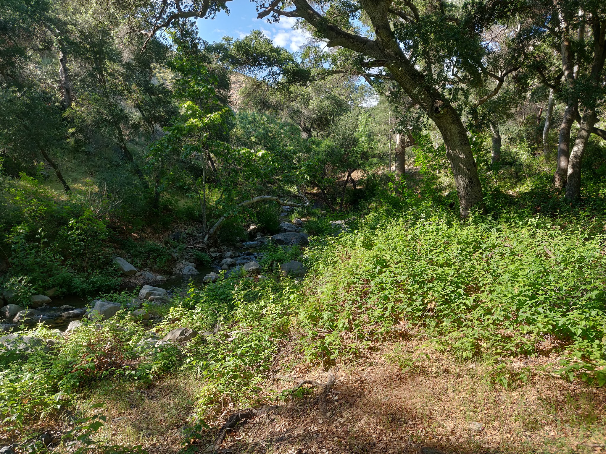 Brookshire Campground