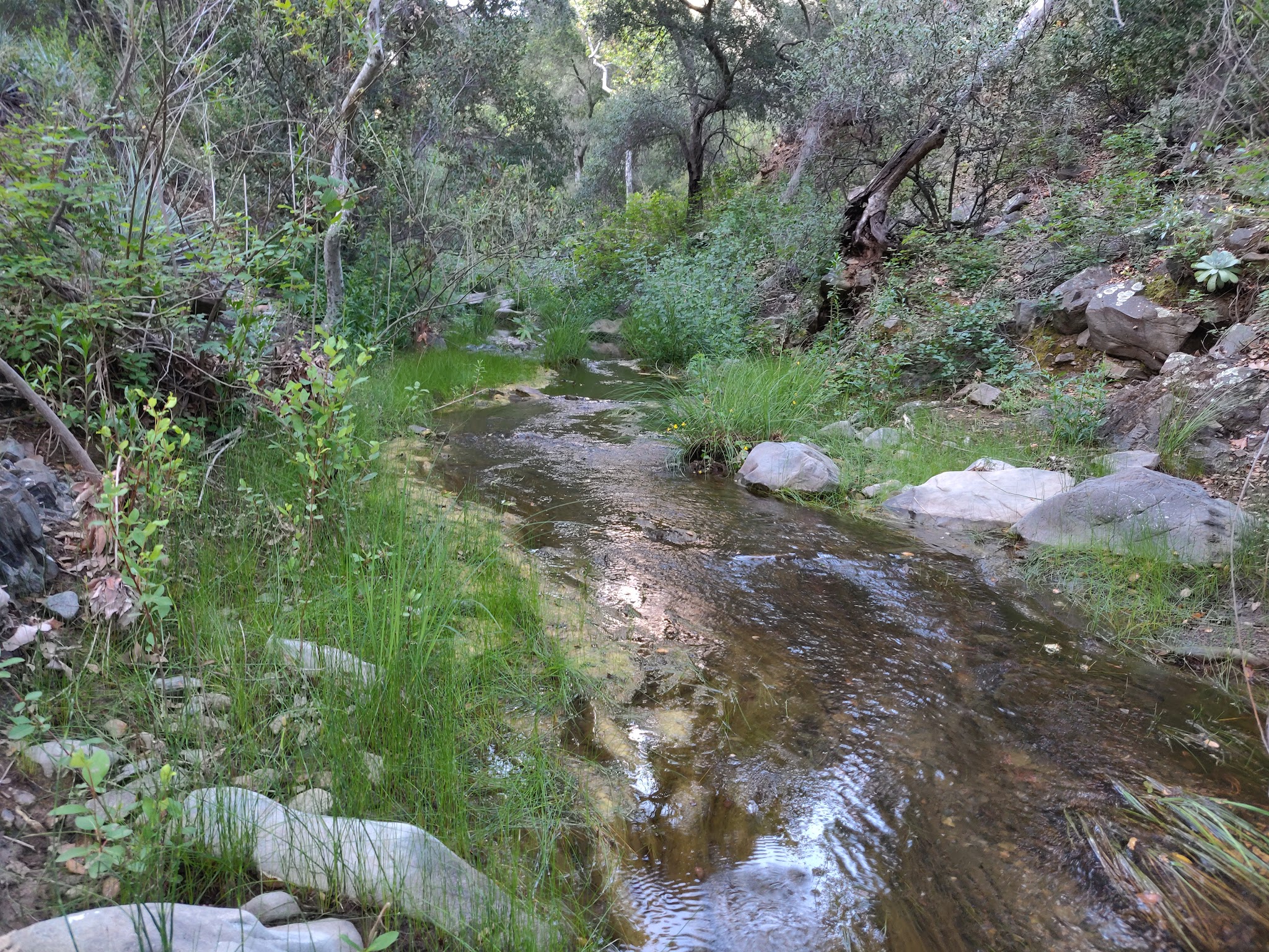 Brookshire Campground