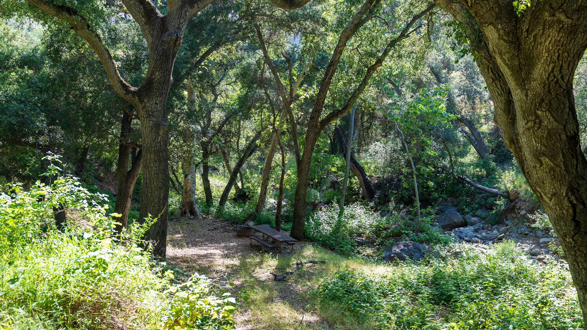 Brookshire Campground