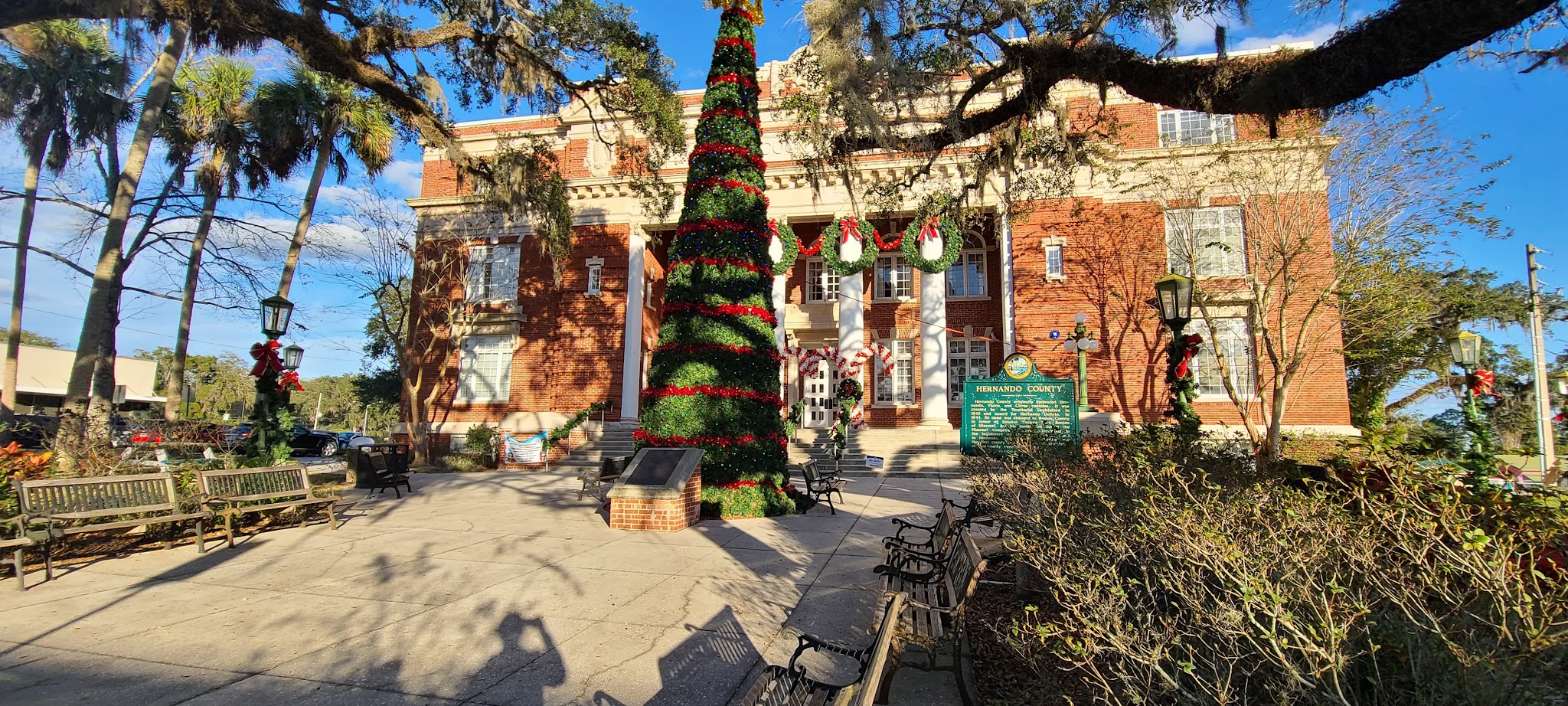 Croom Tract Primitive Camp Zone West