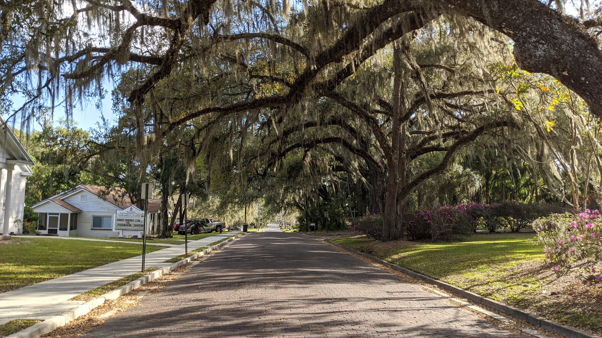 Croom Tract Primitive Camp Zone West