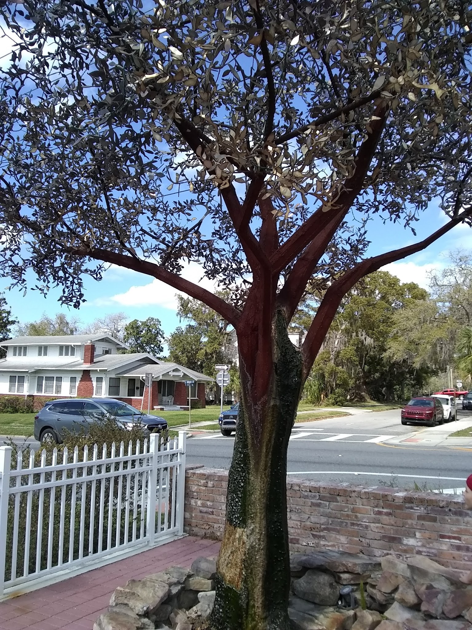 Croom Tract Primitive Camp Zone West