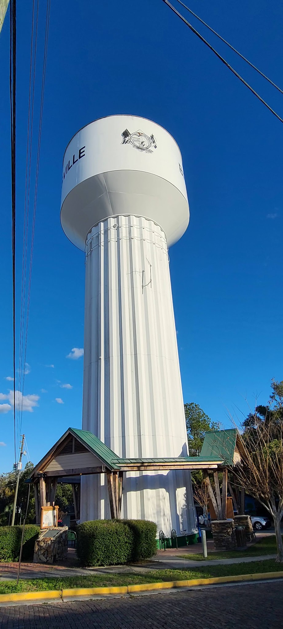 Croom Tract Primitive Camp Zone West