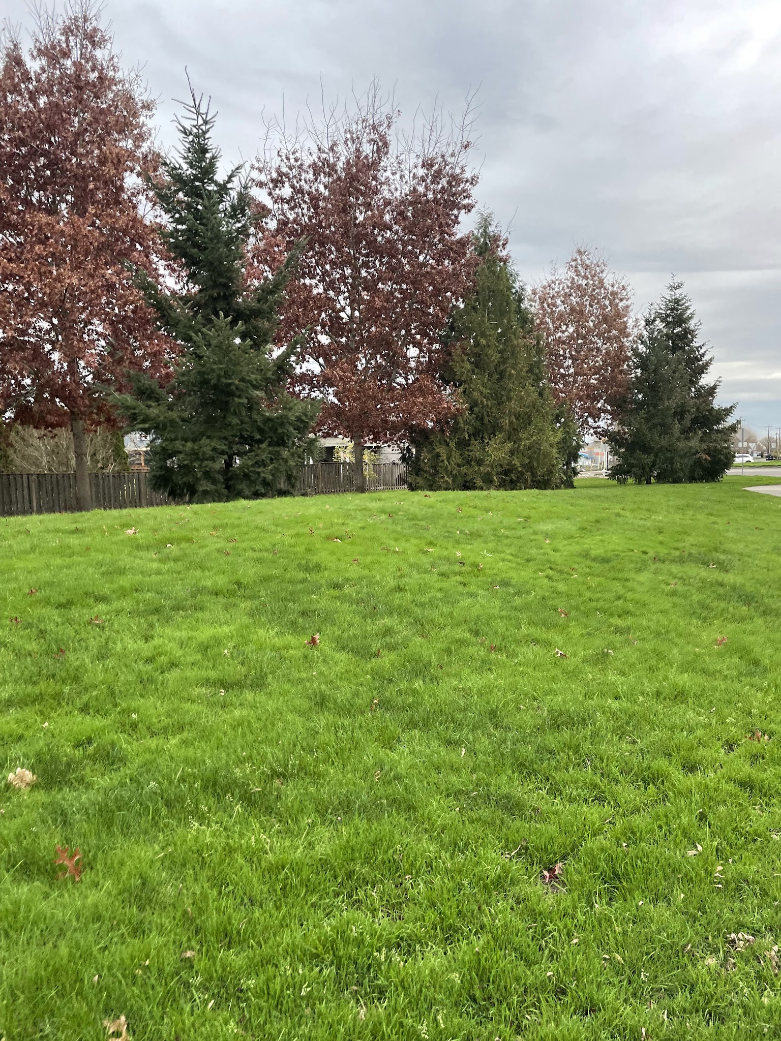 Brookwood Natural Sup Campground