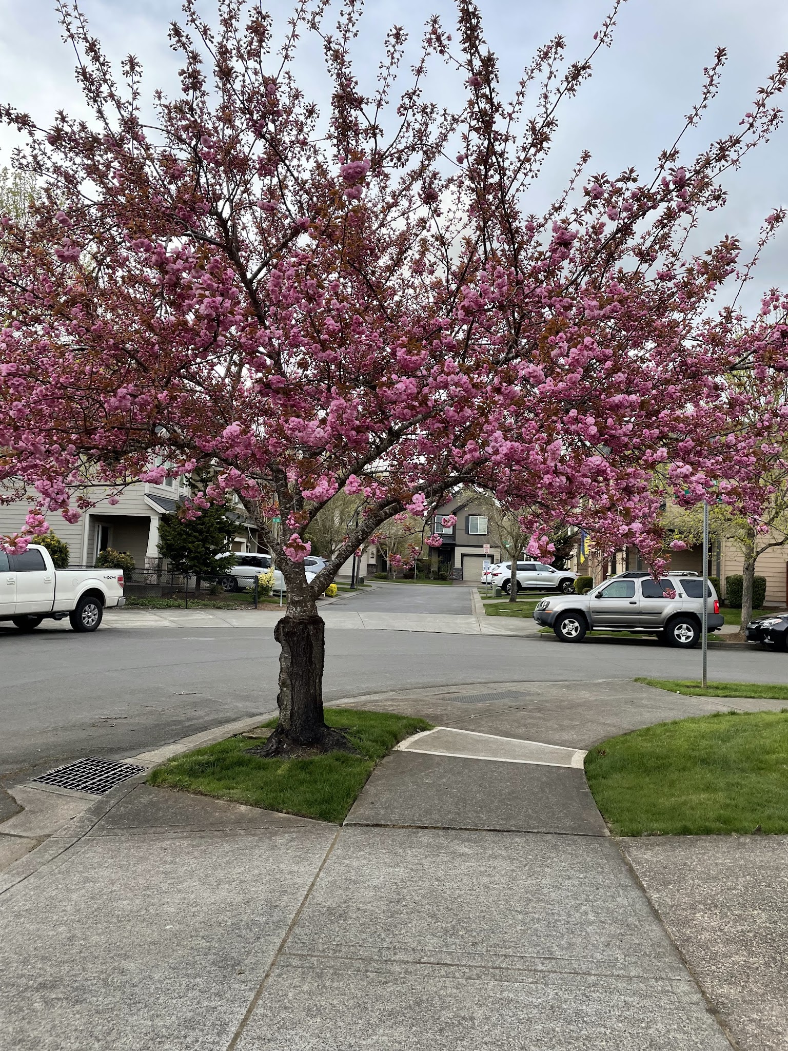 Brookwood Natural Sup Campground