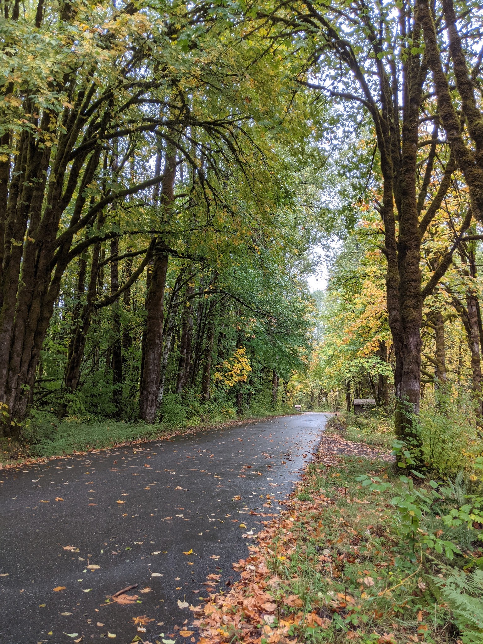 Brown Creek Campground