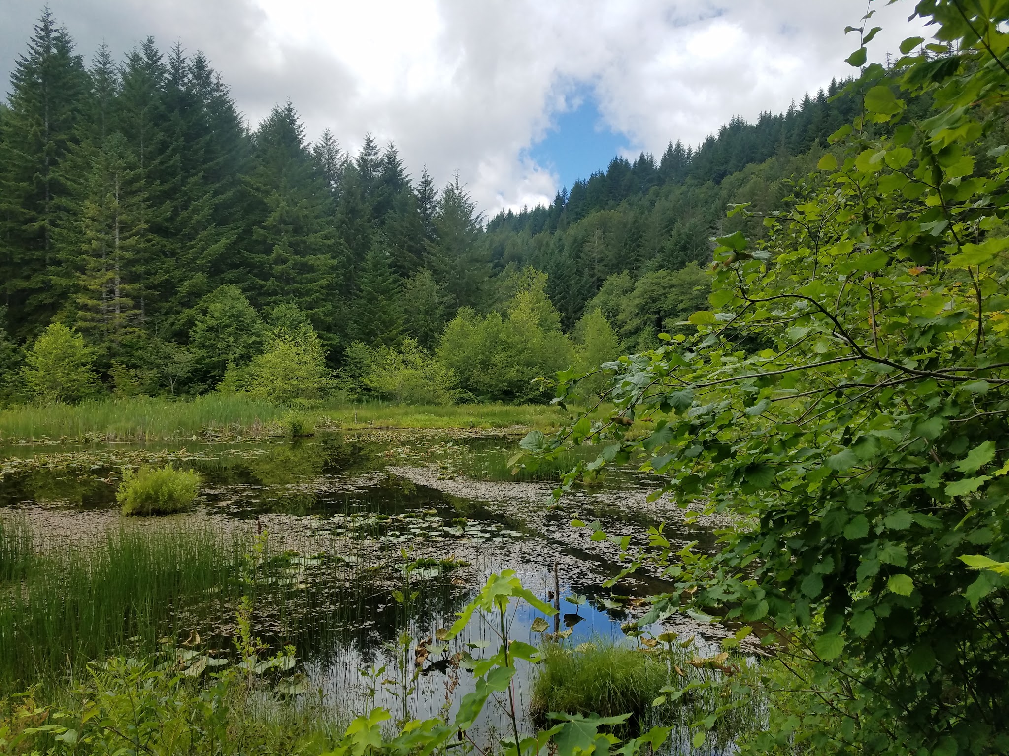 Brown Creek Campground