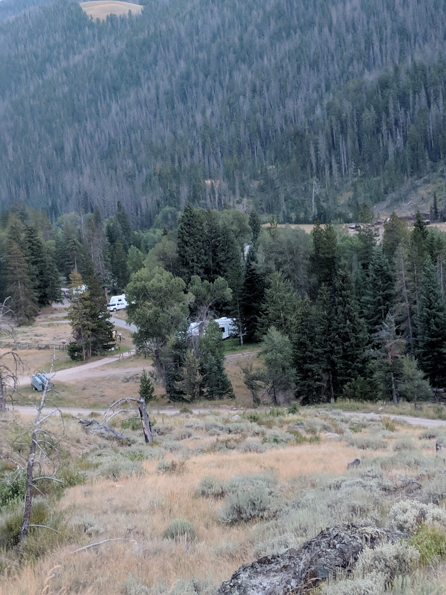 Brown Mountain Campground