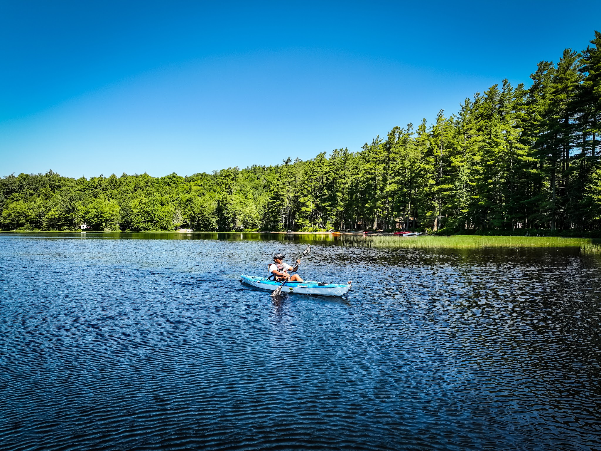 Brown Tract Pond Campground