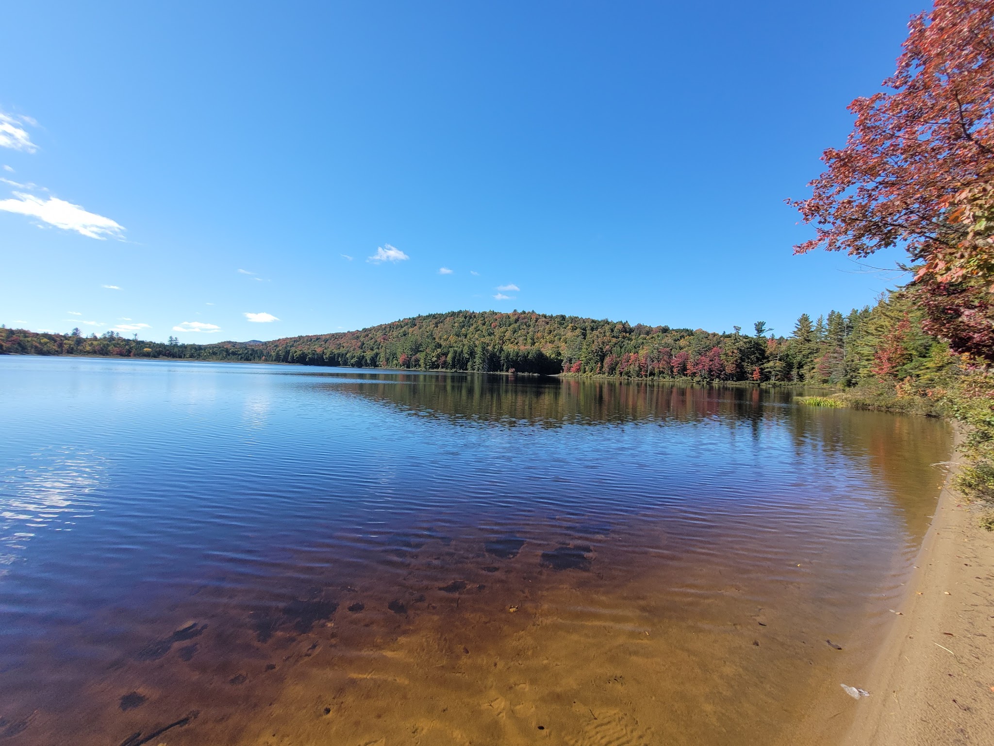 Brown Tract Pond Campground