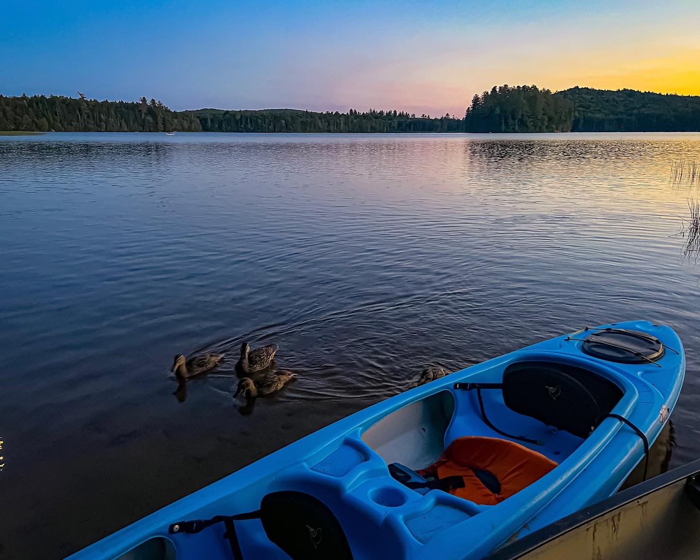 Brown Tract Pond Campground