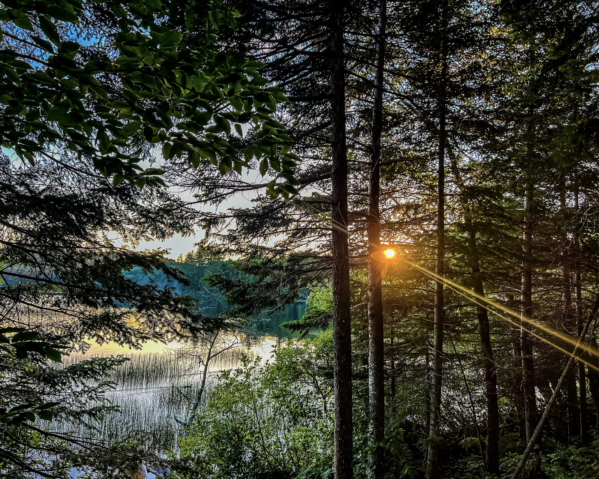 Brown Tract Pond Campground