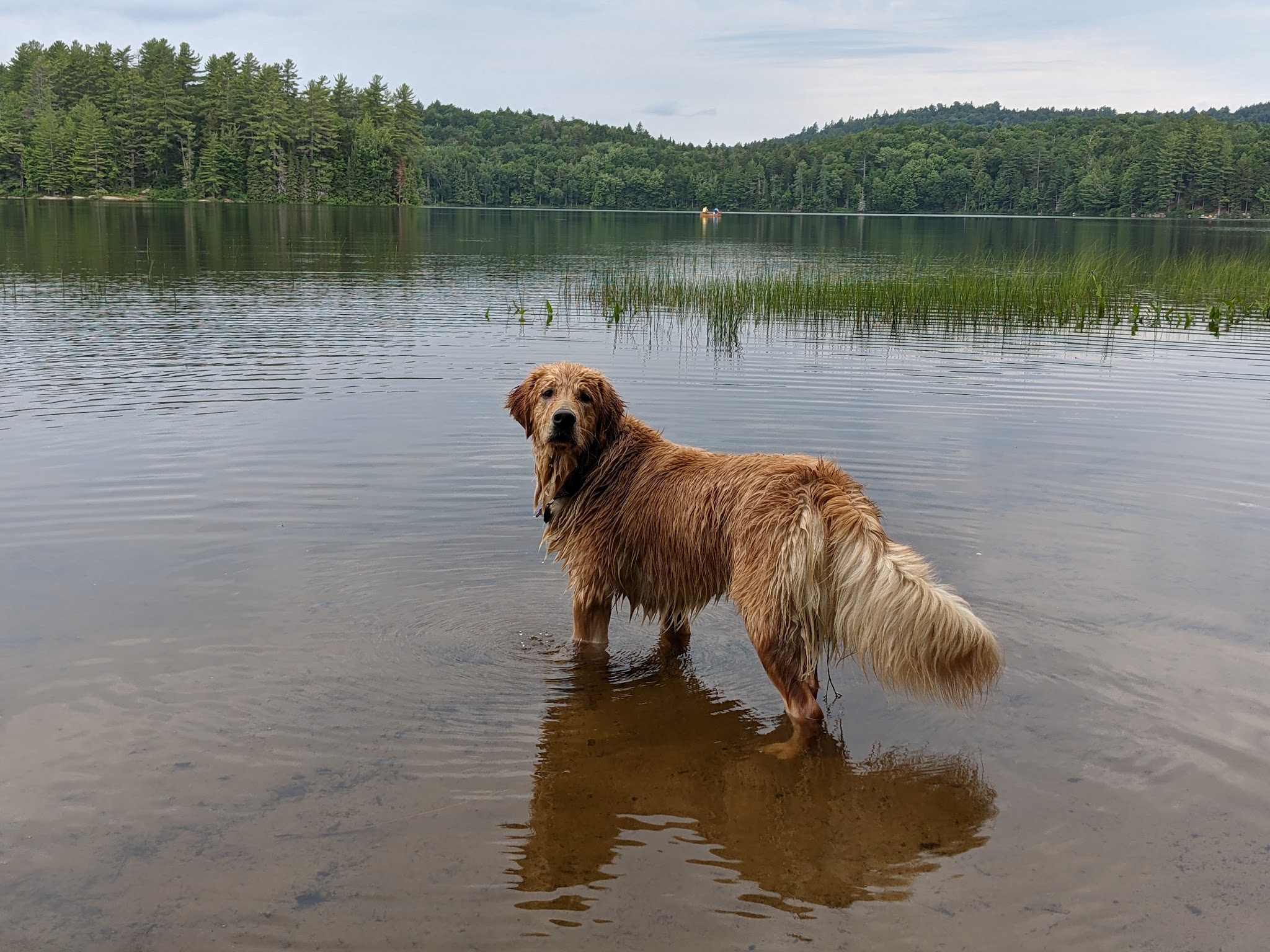 Brown Tract Pond Campground
