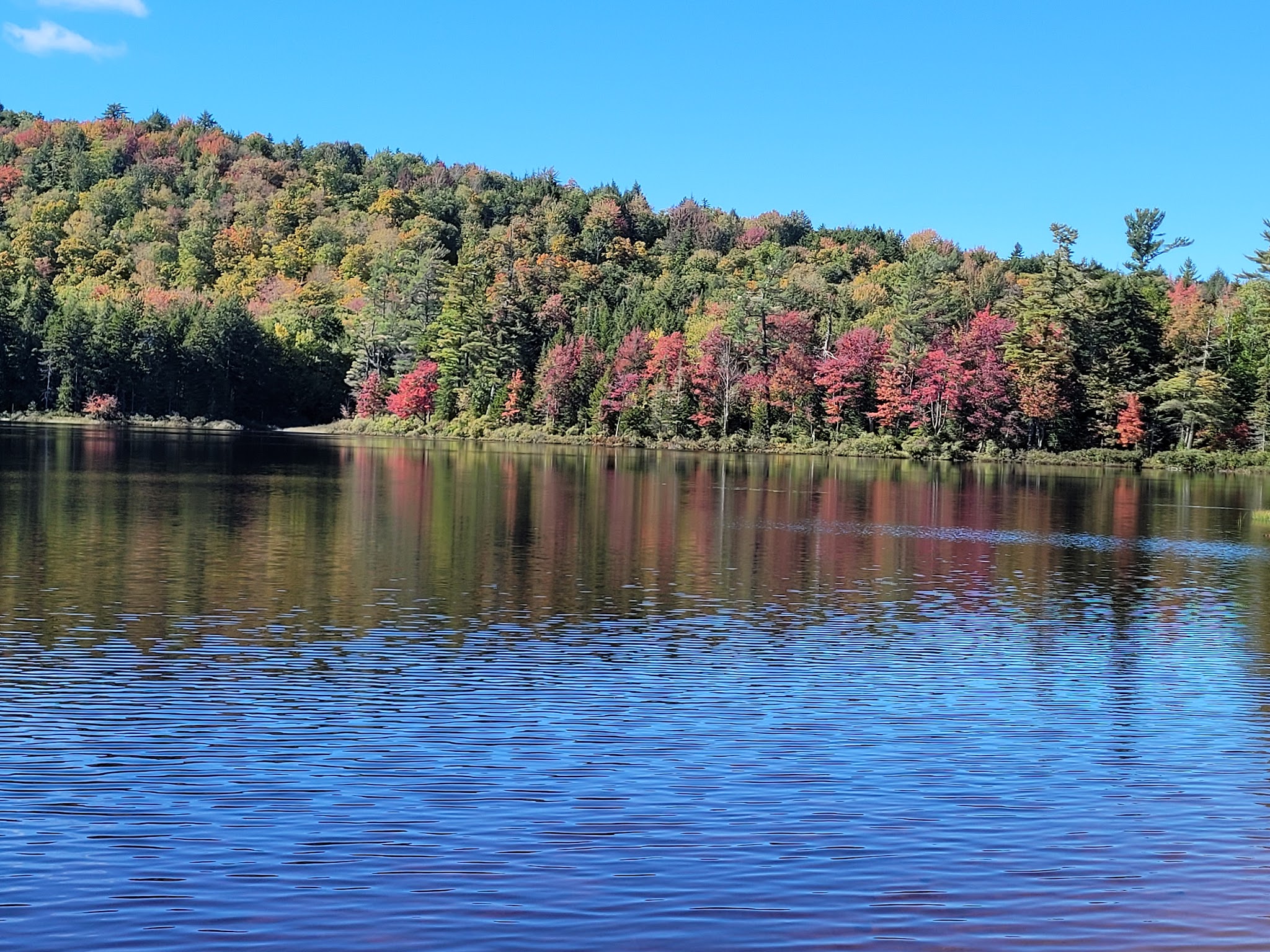 Brown Tract Pond Campground