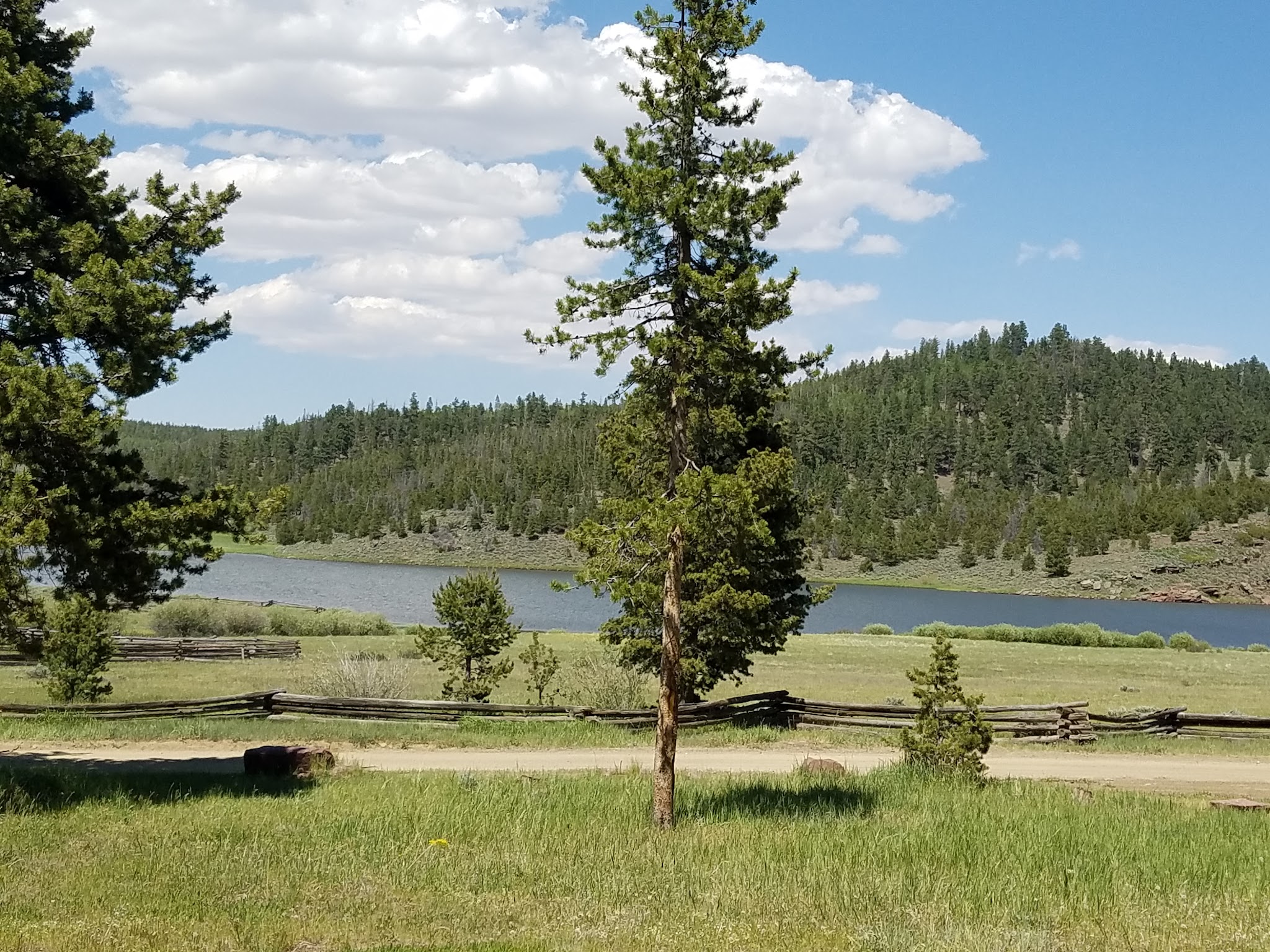 Browne Lake Group Sites