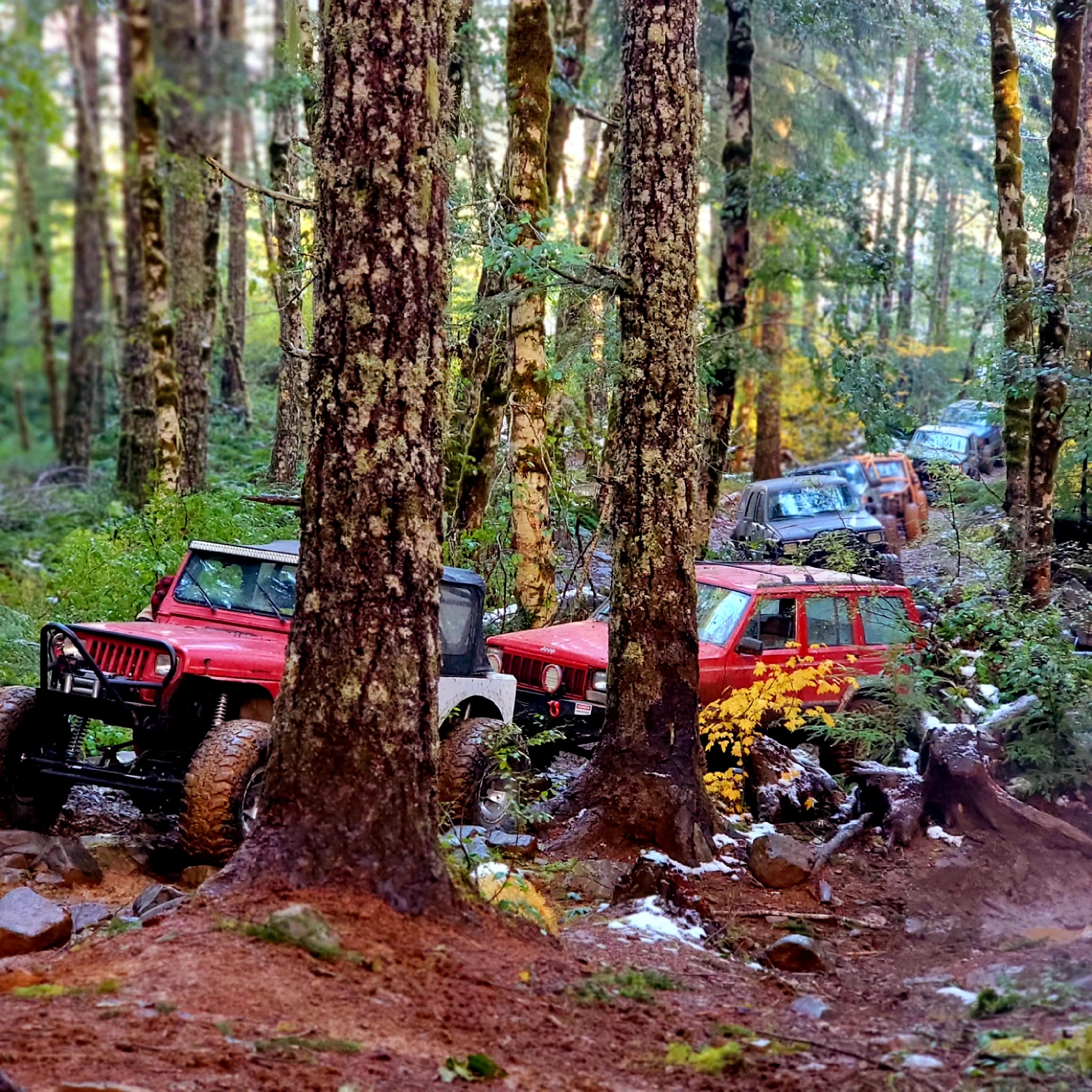 Browns Camp Ohv Campground