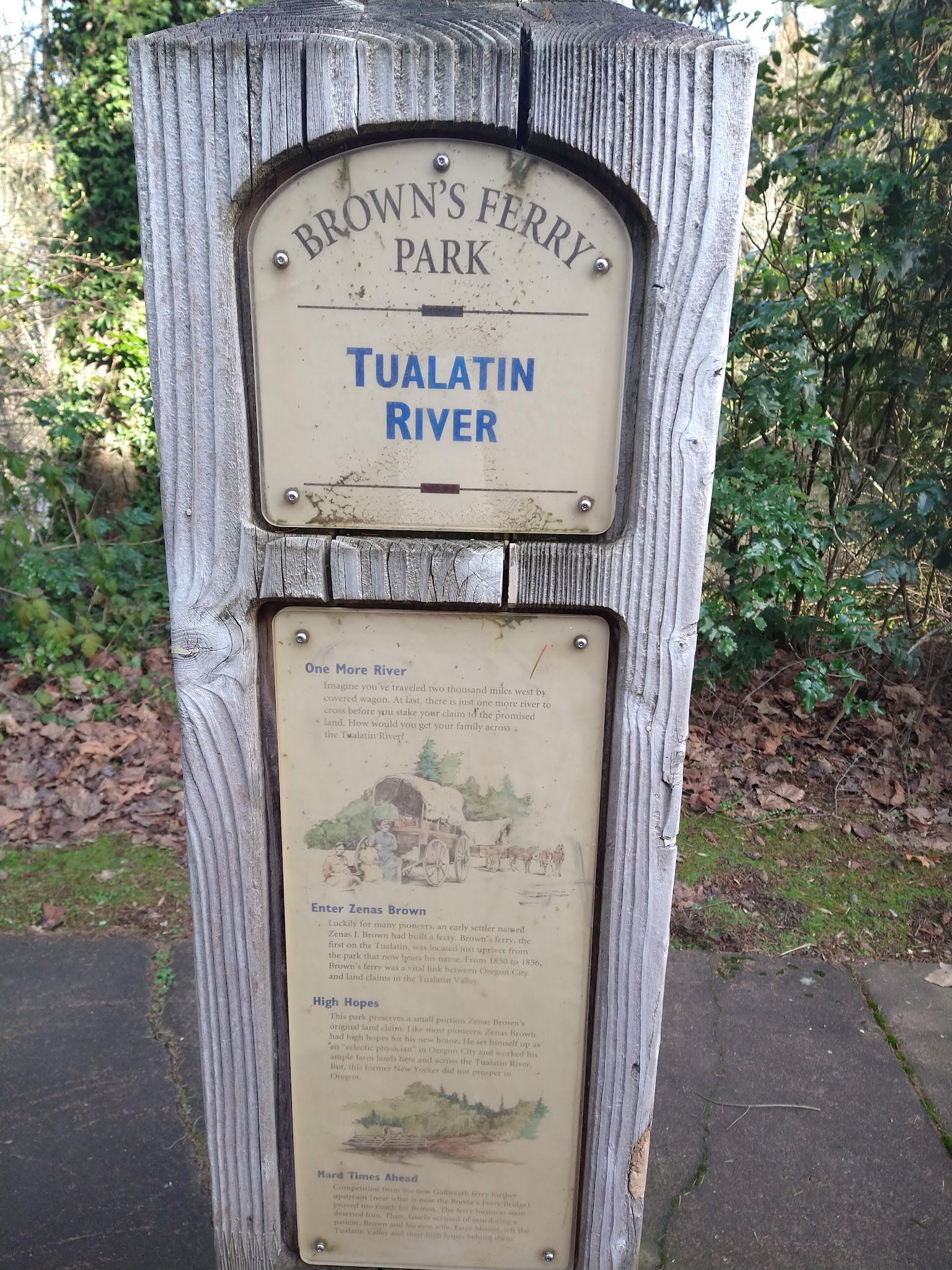 Brown Natural Crup Campground