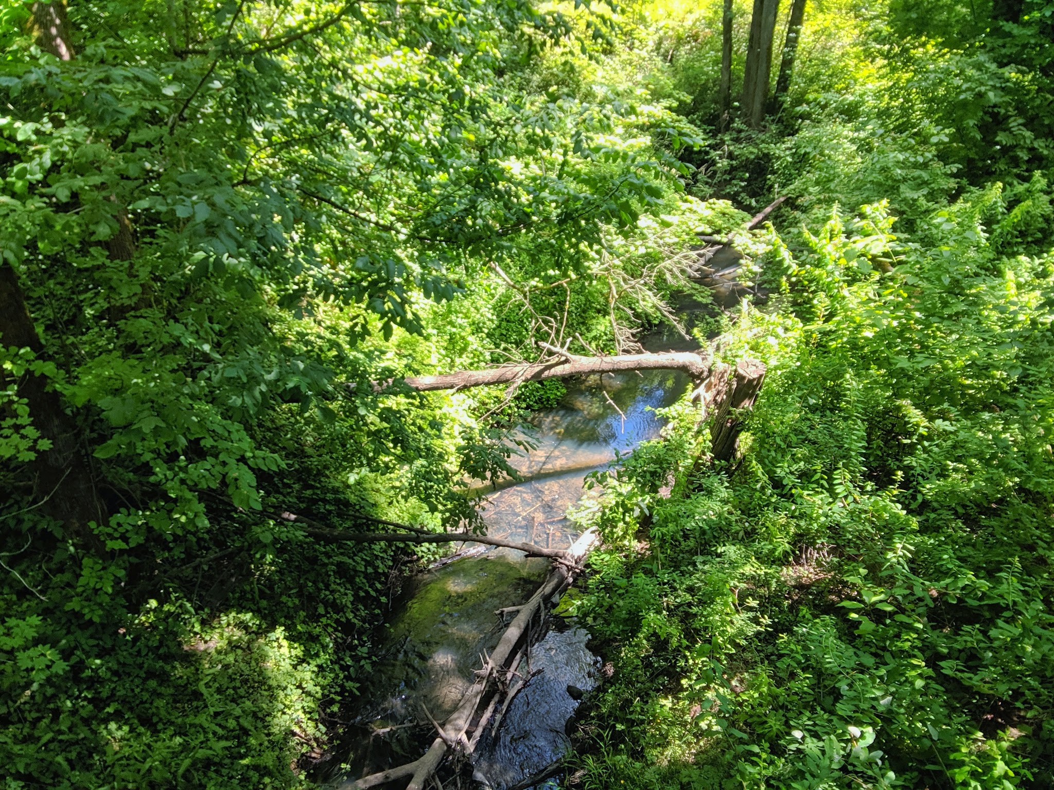Brown Natural Crup Campground
